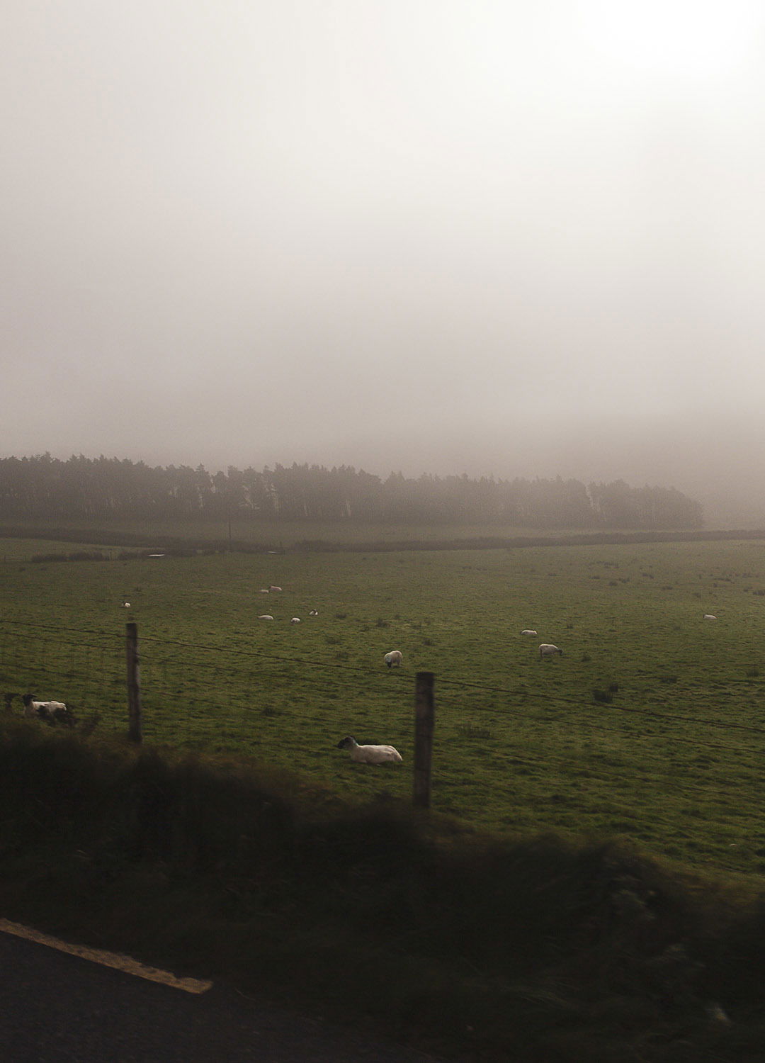 Adrian Brinkerhoff Matthew Thompson 266