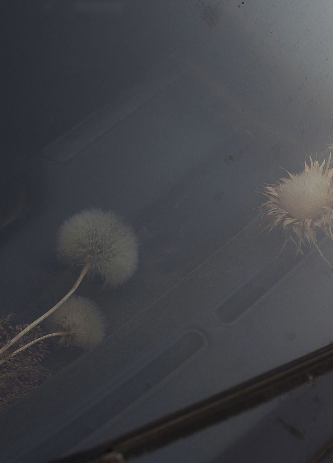 Adrian Brinkerhoff Matthew Thompson 268