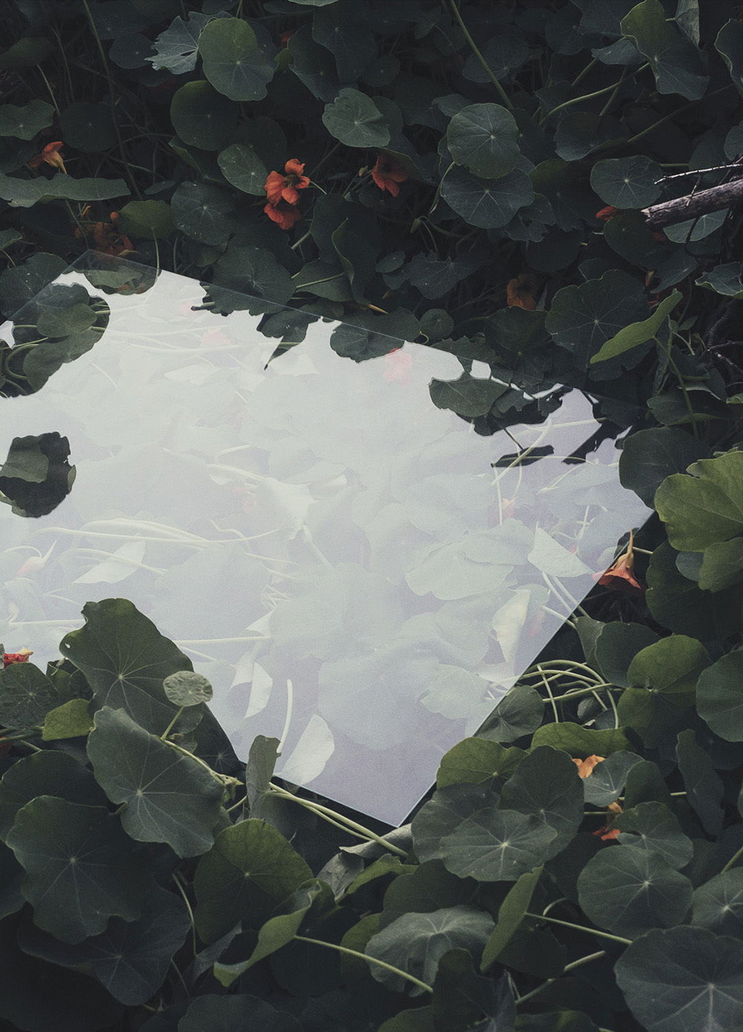 Adrian Brinkerhoff Matthew Thompson 269