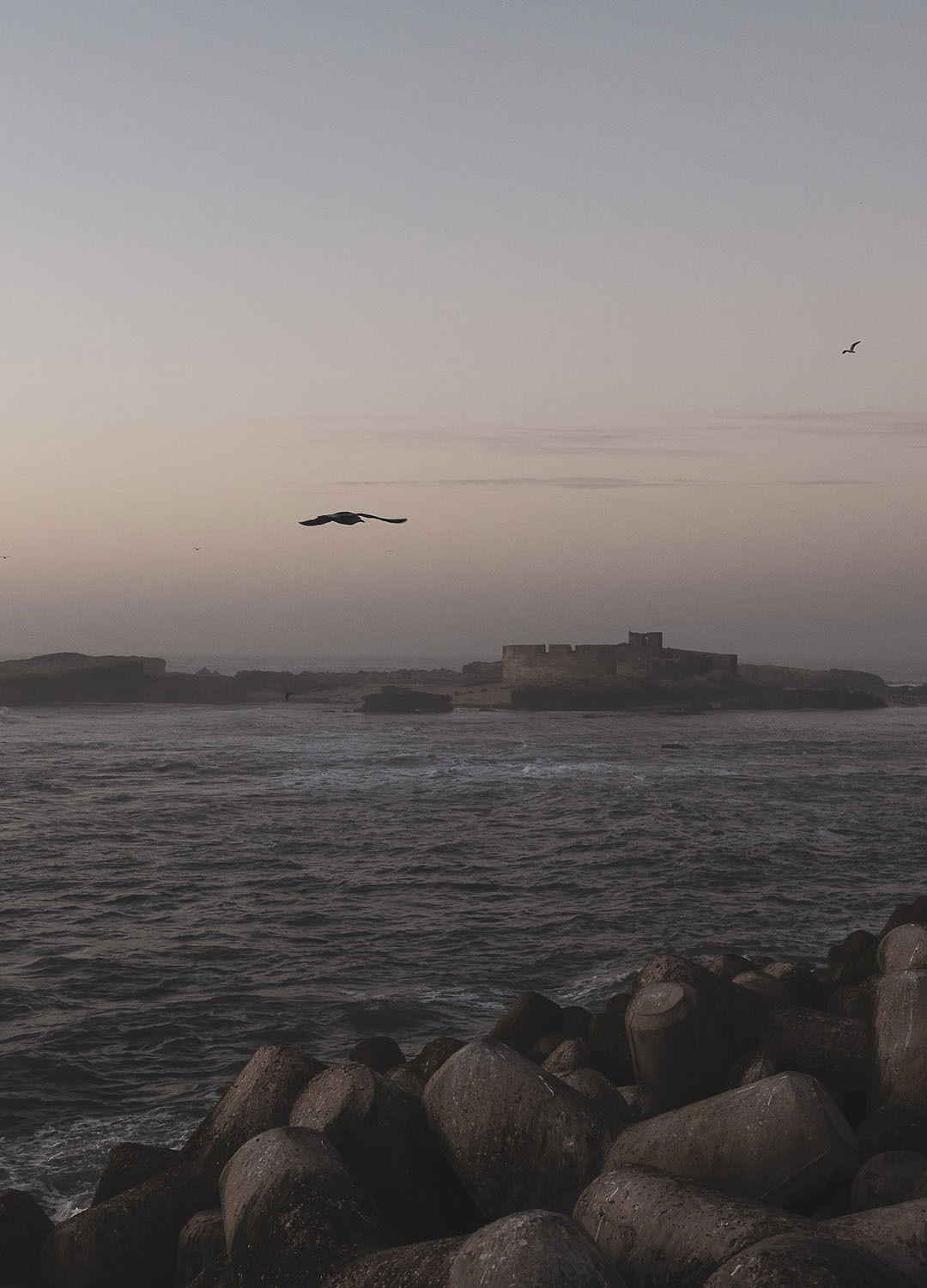 Adrian Brinkerhoff Matthew Thompson 276