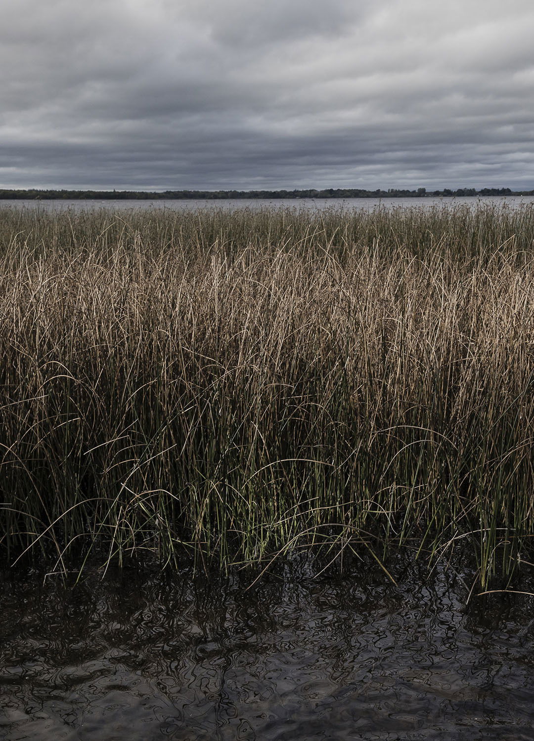 Adrian Brinkerhoff Matthew Thompson 279