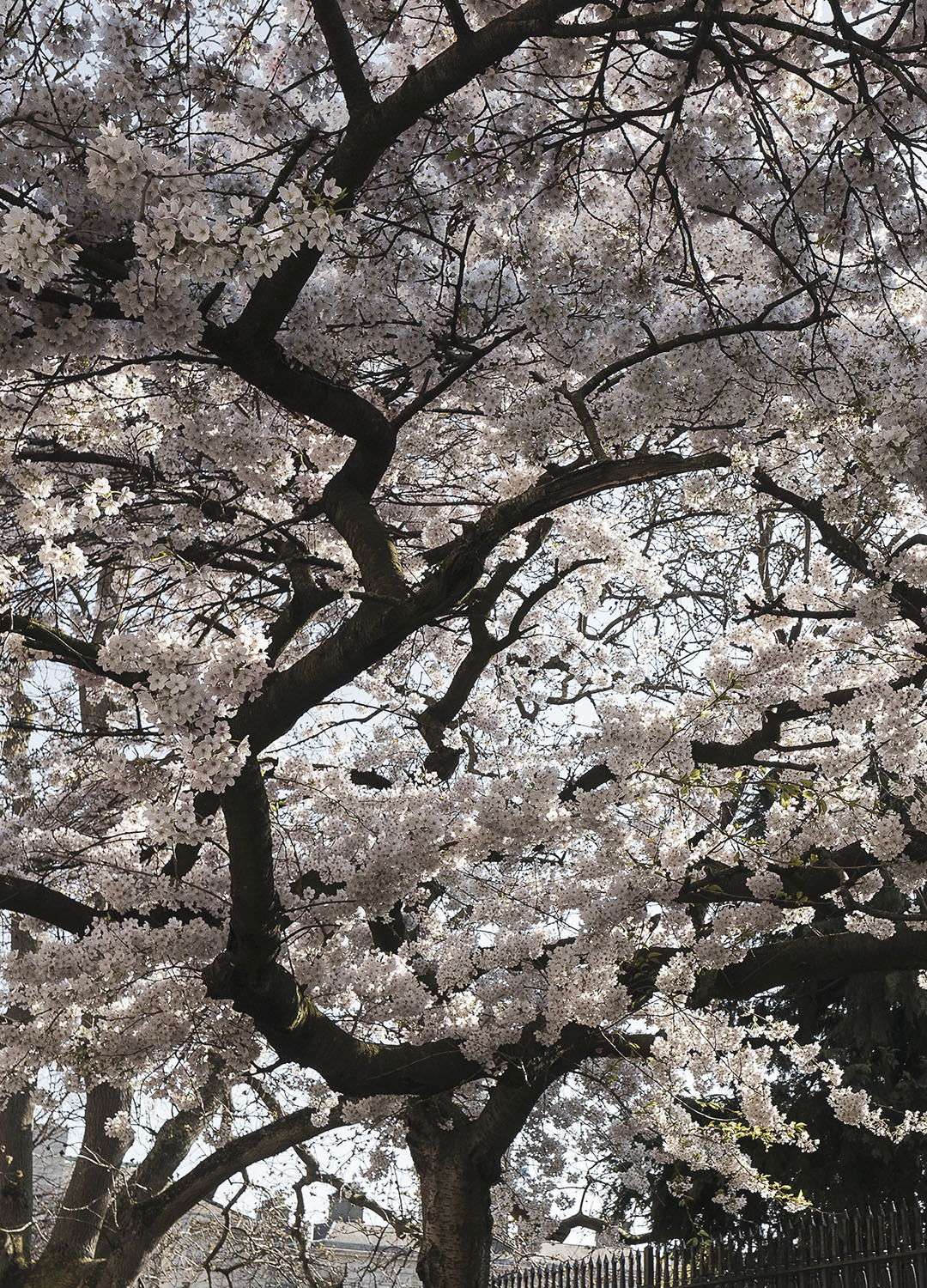 Adrian Brinkerhoff Matthew Thompson 285