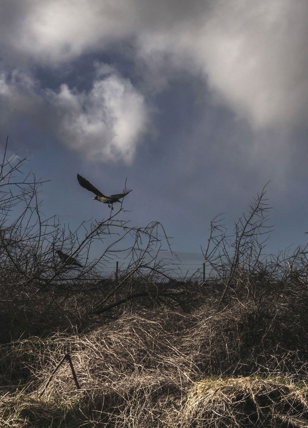 Adrian Brinkerhoff Matthew Thompson 287