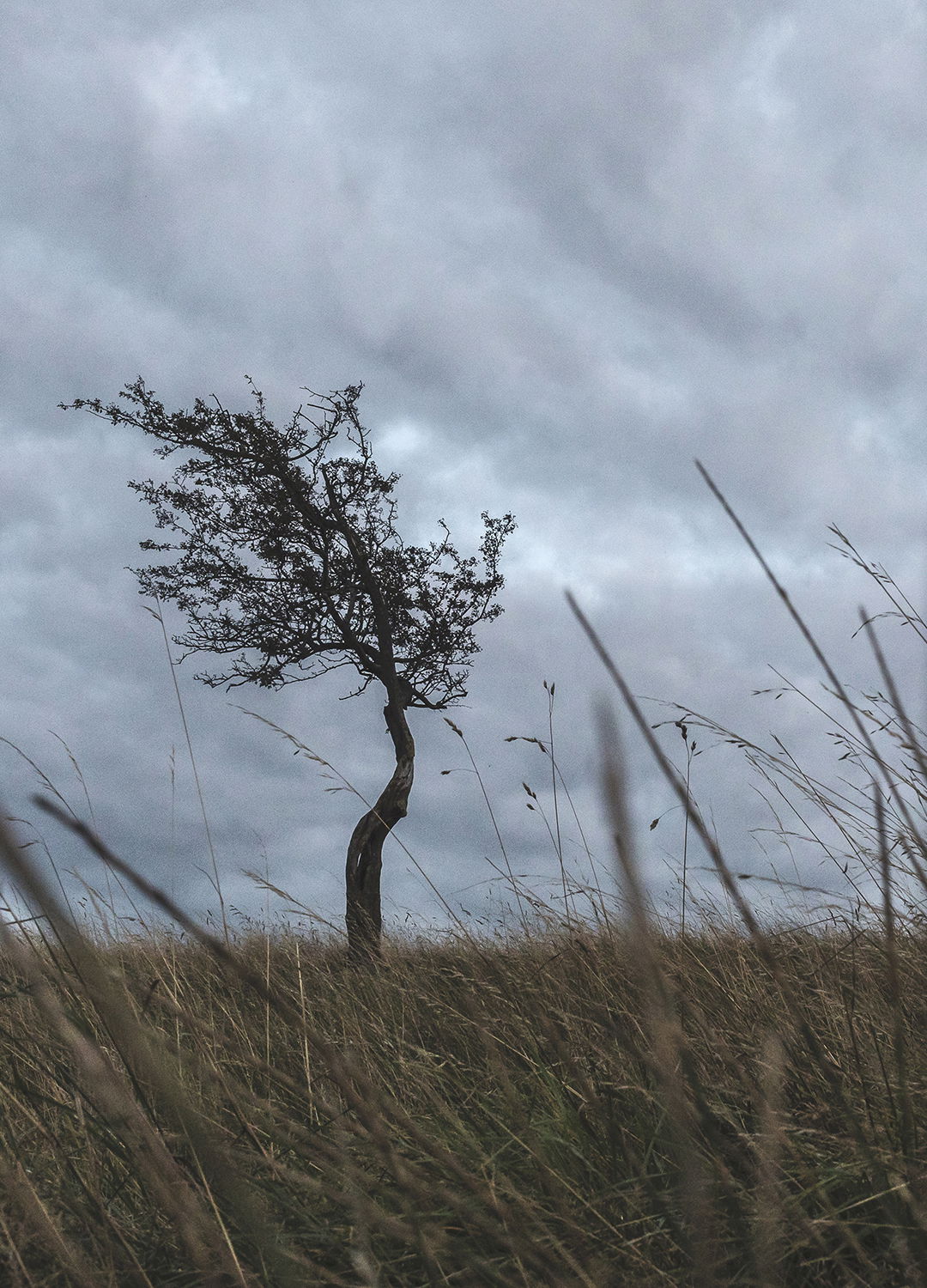 Adrian Brinkerhoff Matthew Thompson 288