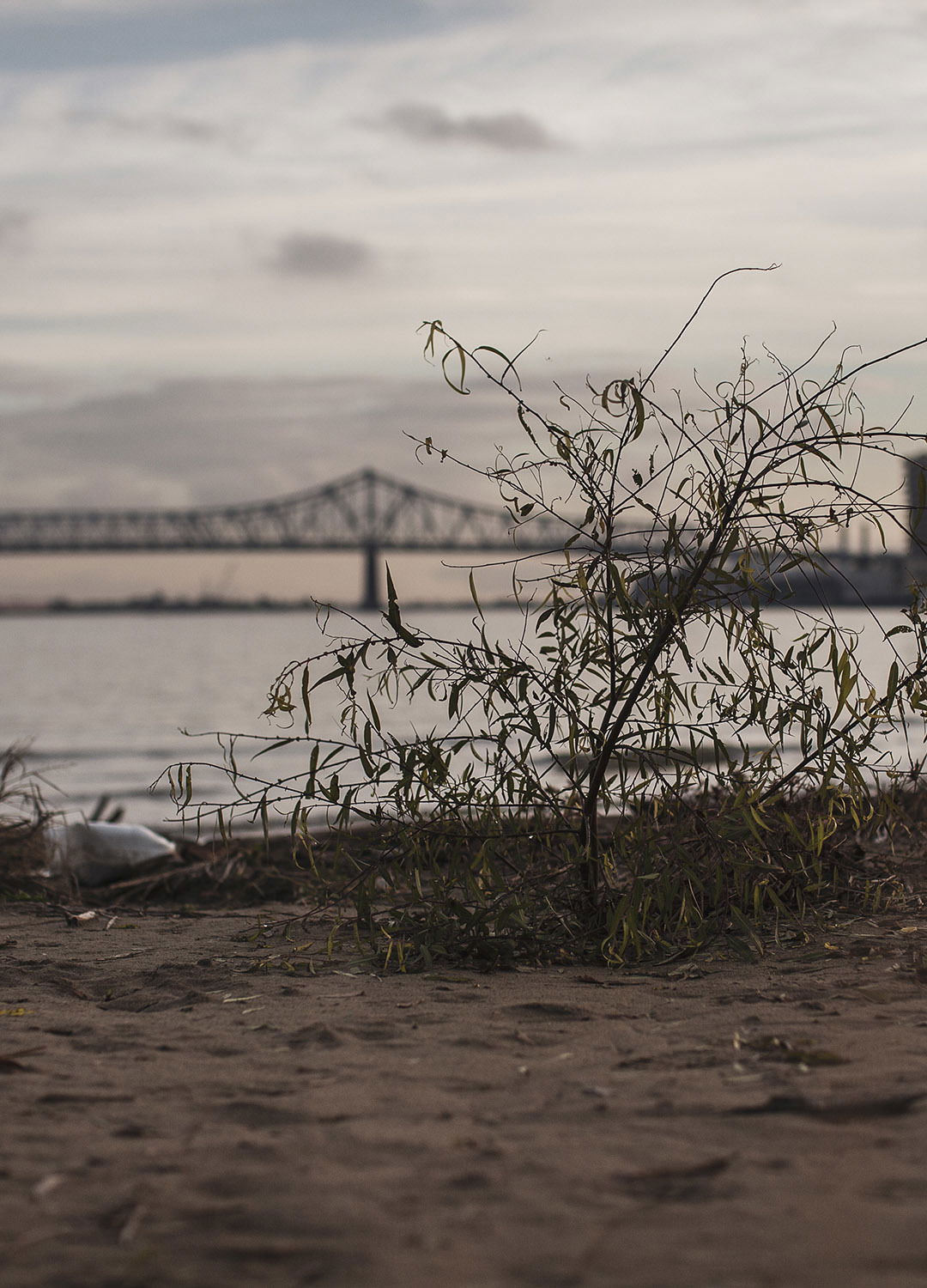 Adrian Brinkerhoff Matthew Thompson 292