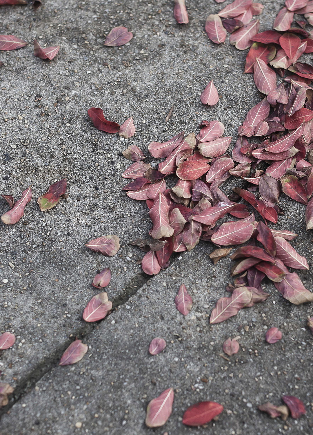 Adrian Brinkerhoff Matthew Thompson 293