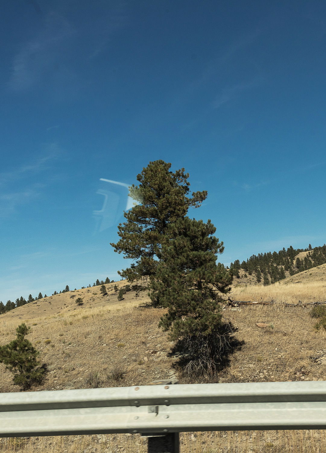 Adrian Brinkerhoff Matthew Thompson 296