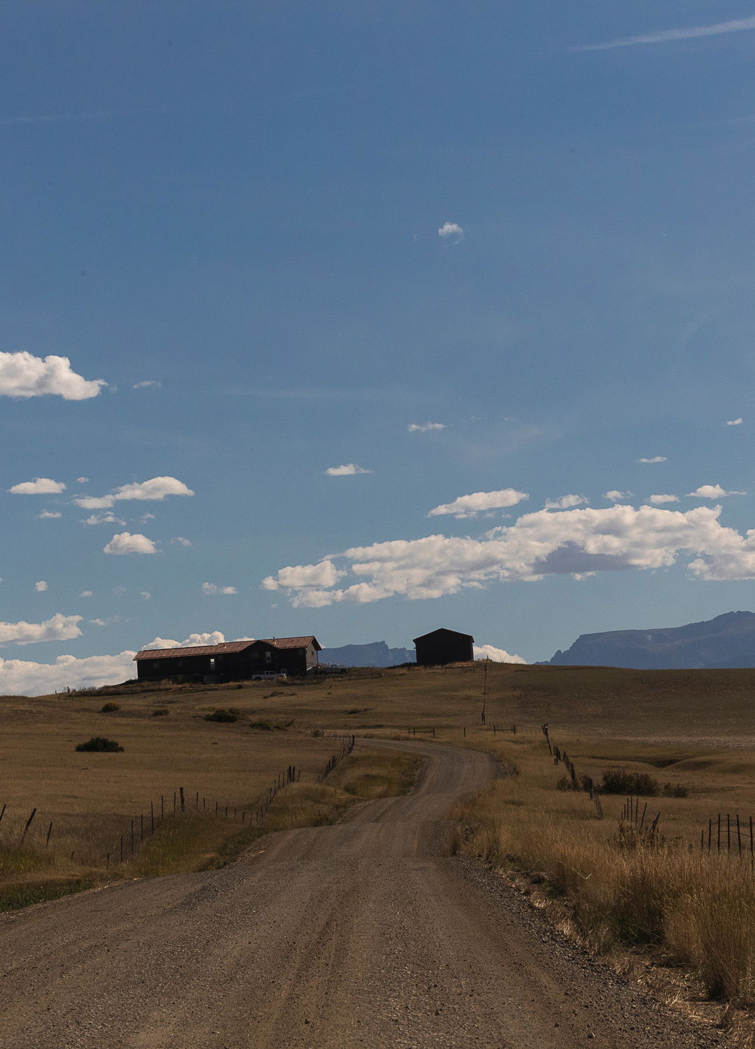 Adrian Brinkerhoff Matthew Thompson 300