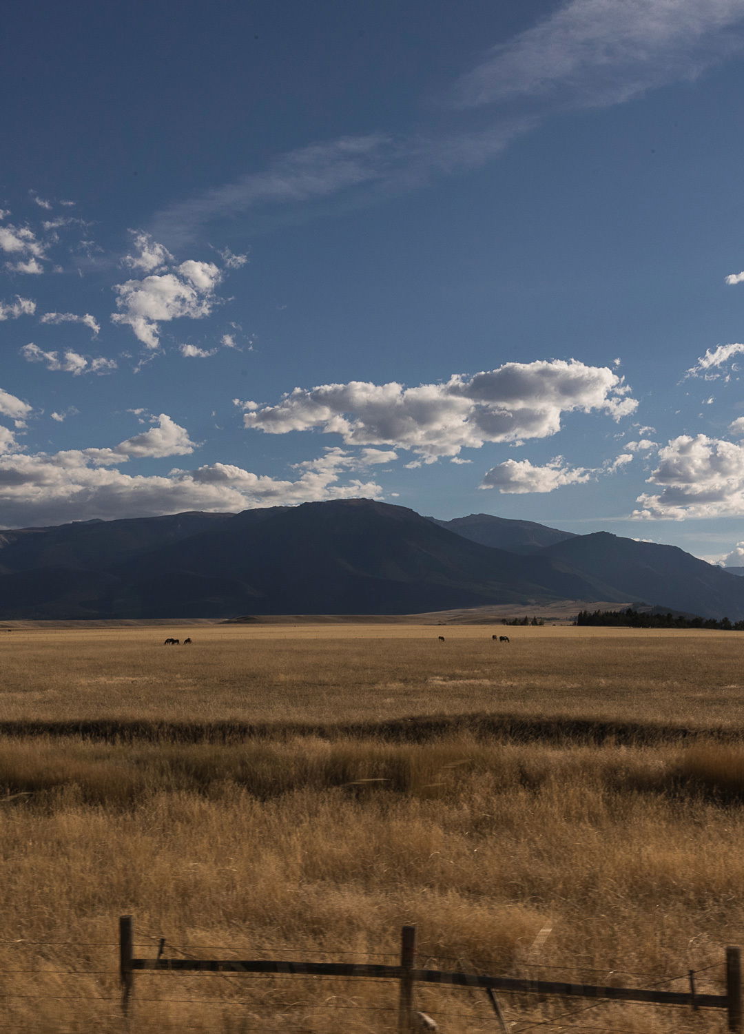 Adrian Brinkerhoff Matthew Thompson 301