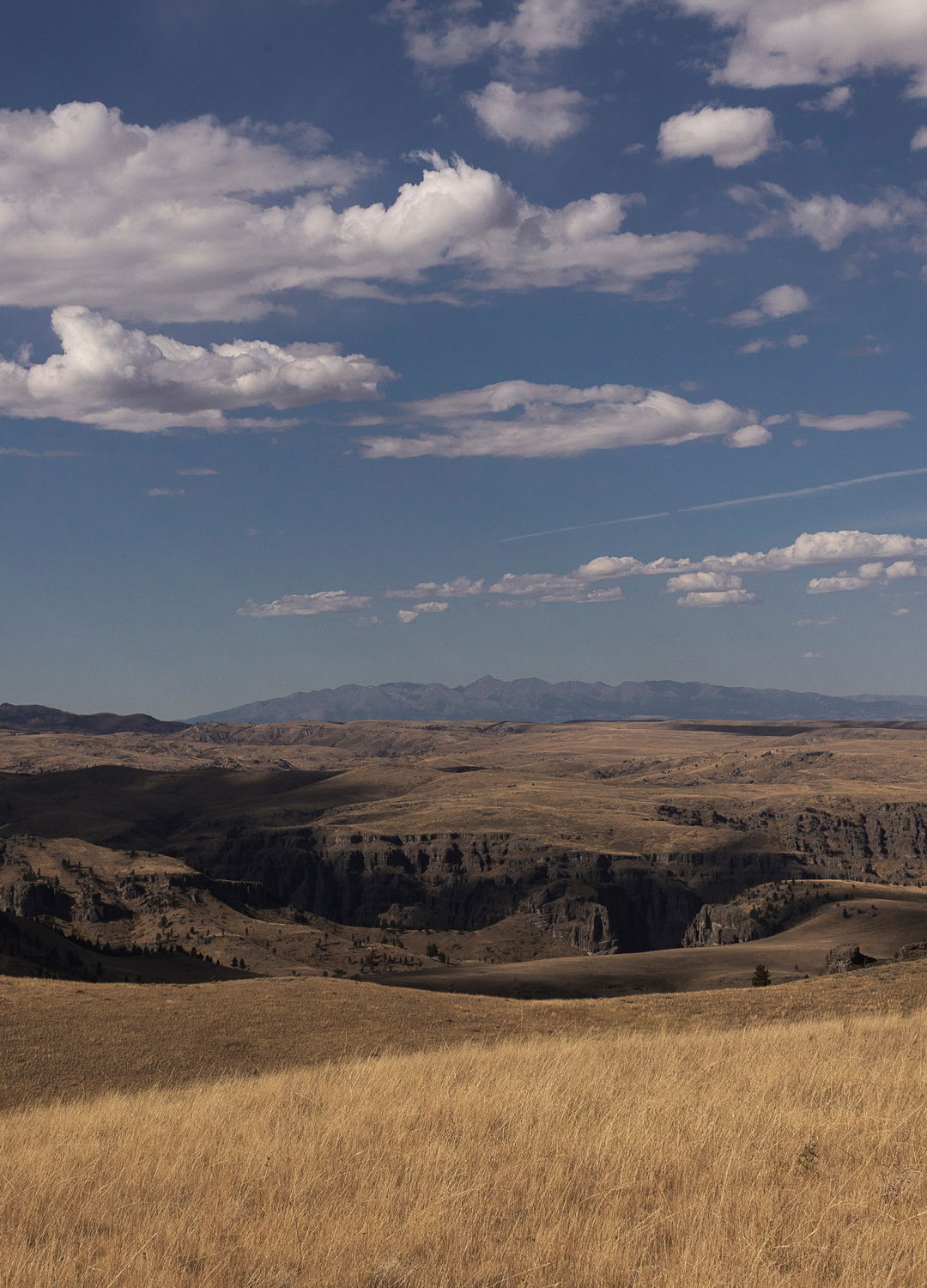 Adrian Brinkerhoff Matthew Thompson 303