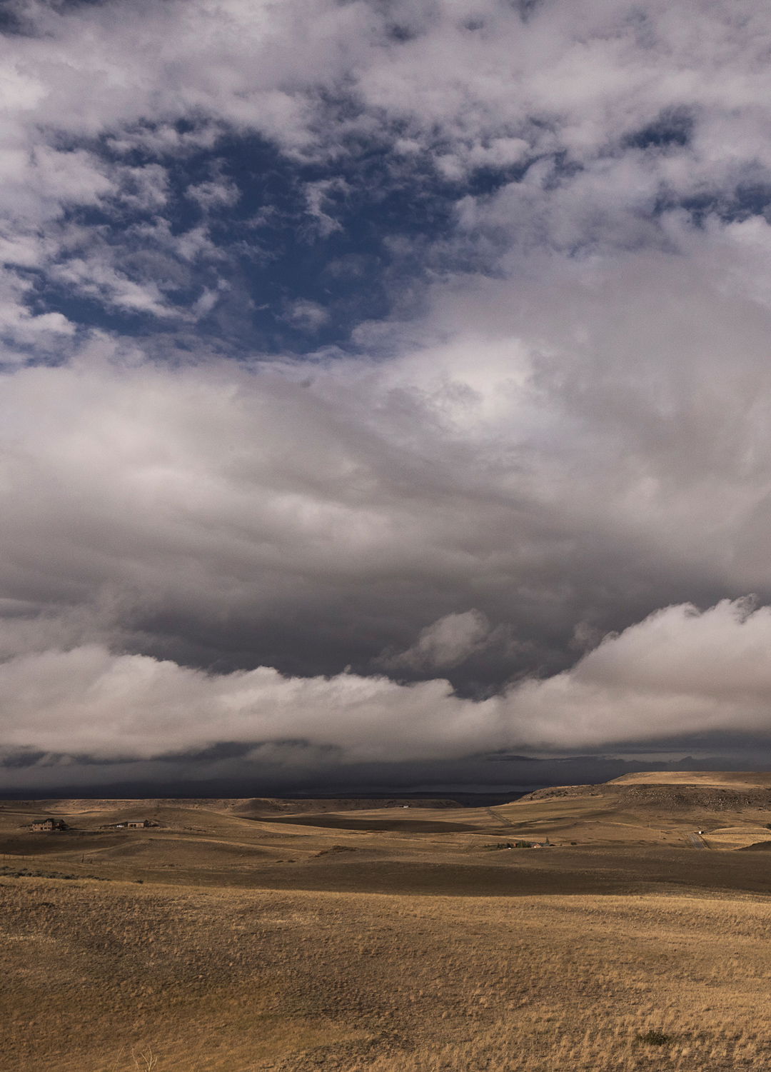 Adrian Brinkerhoff Matthew Thompson 305