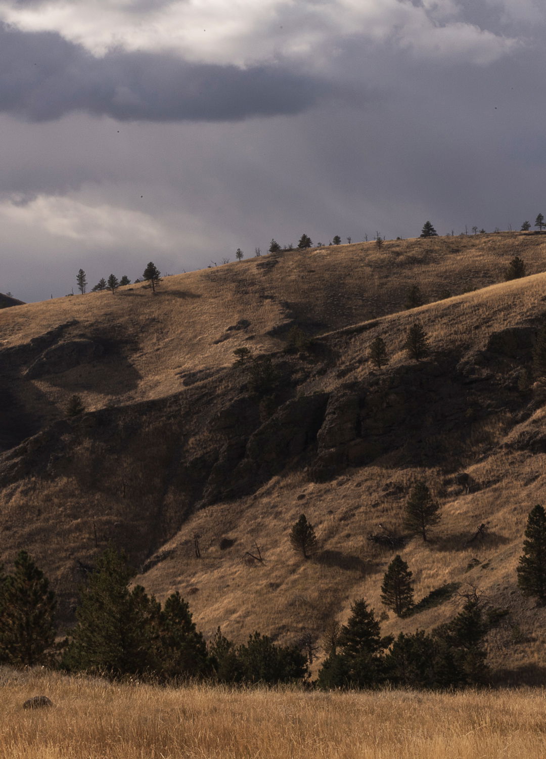 Adrian Brinkerhoff Matthew Thompson 306