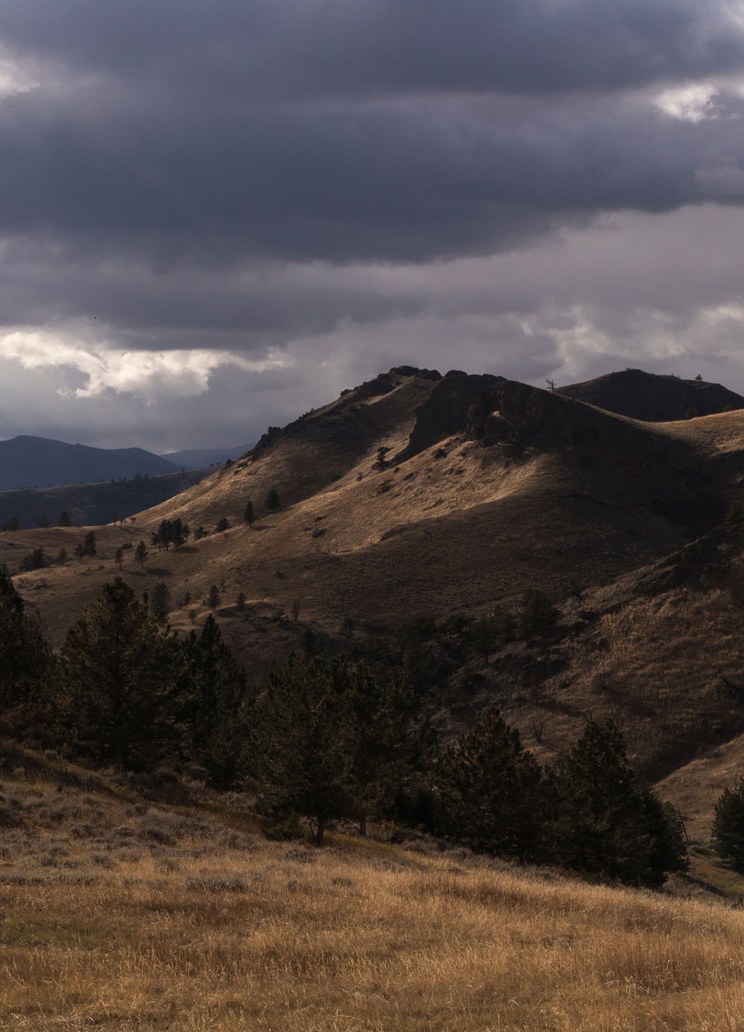 Adrian Brinkerhoff Matthew Thompson 307