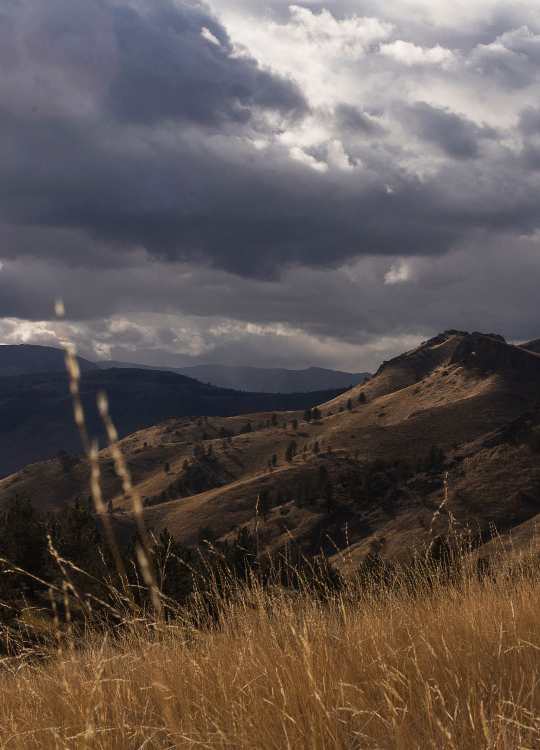 Adrian Brinkerhoff Matthew Thompson 308