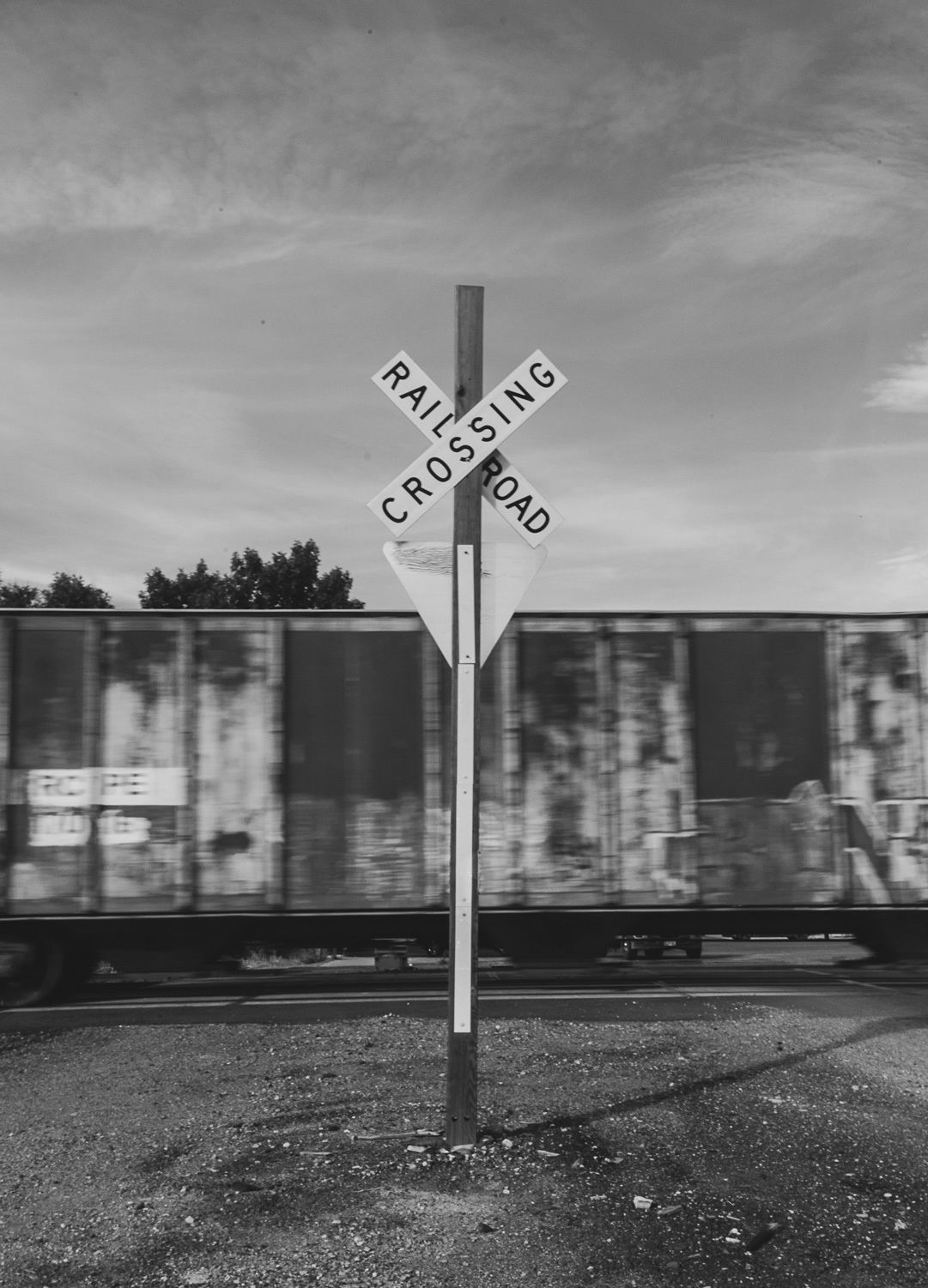 Adrian Brinkerhoff Matthew Thompson 319