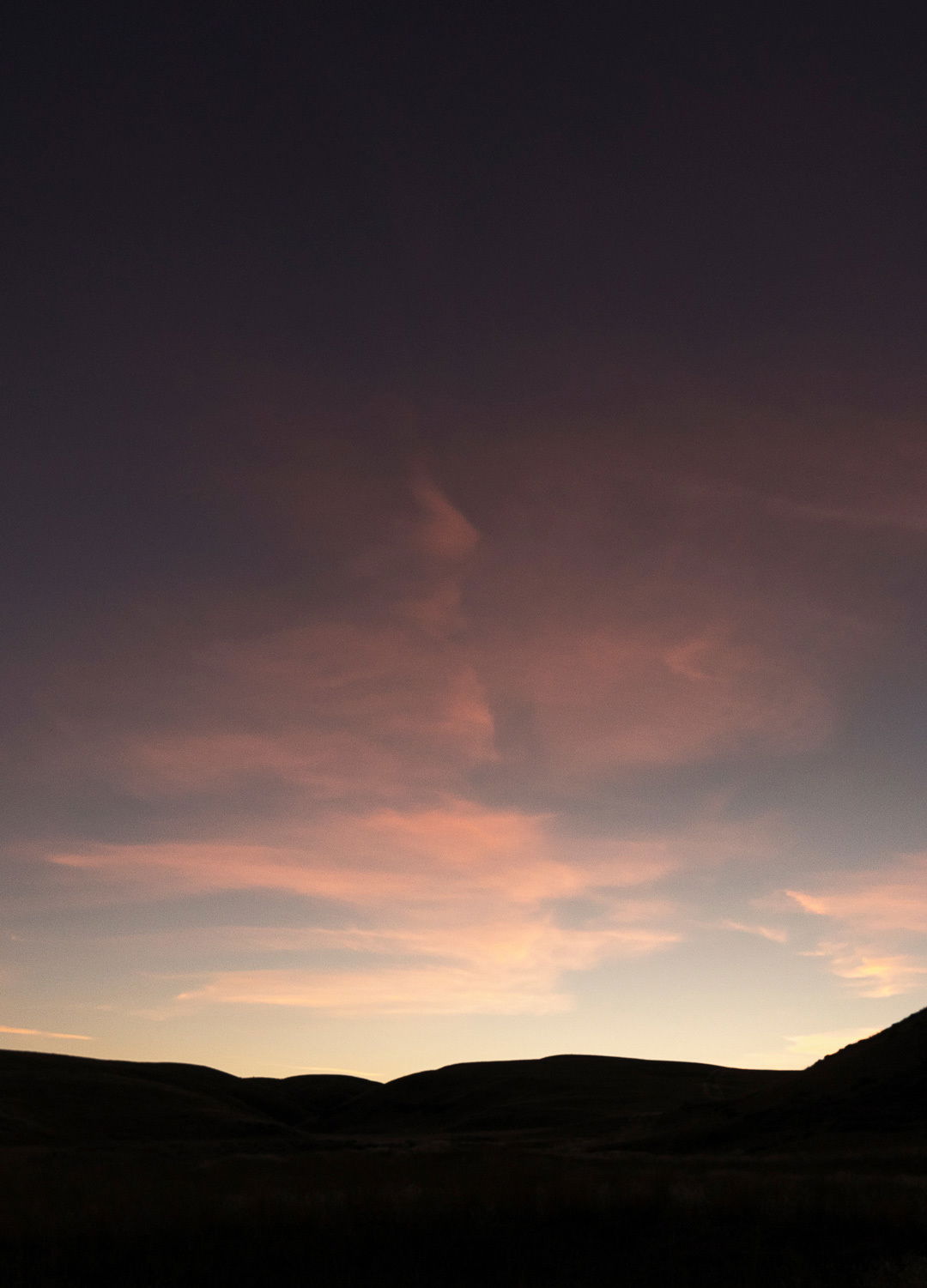 Adrian Brinkerhoff Matthew Thompson 323