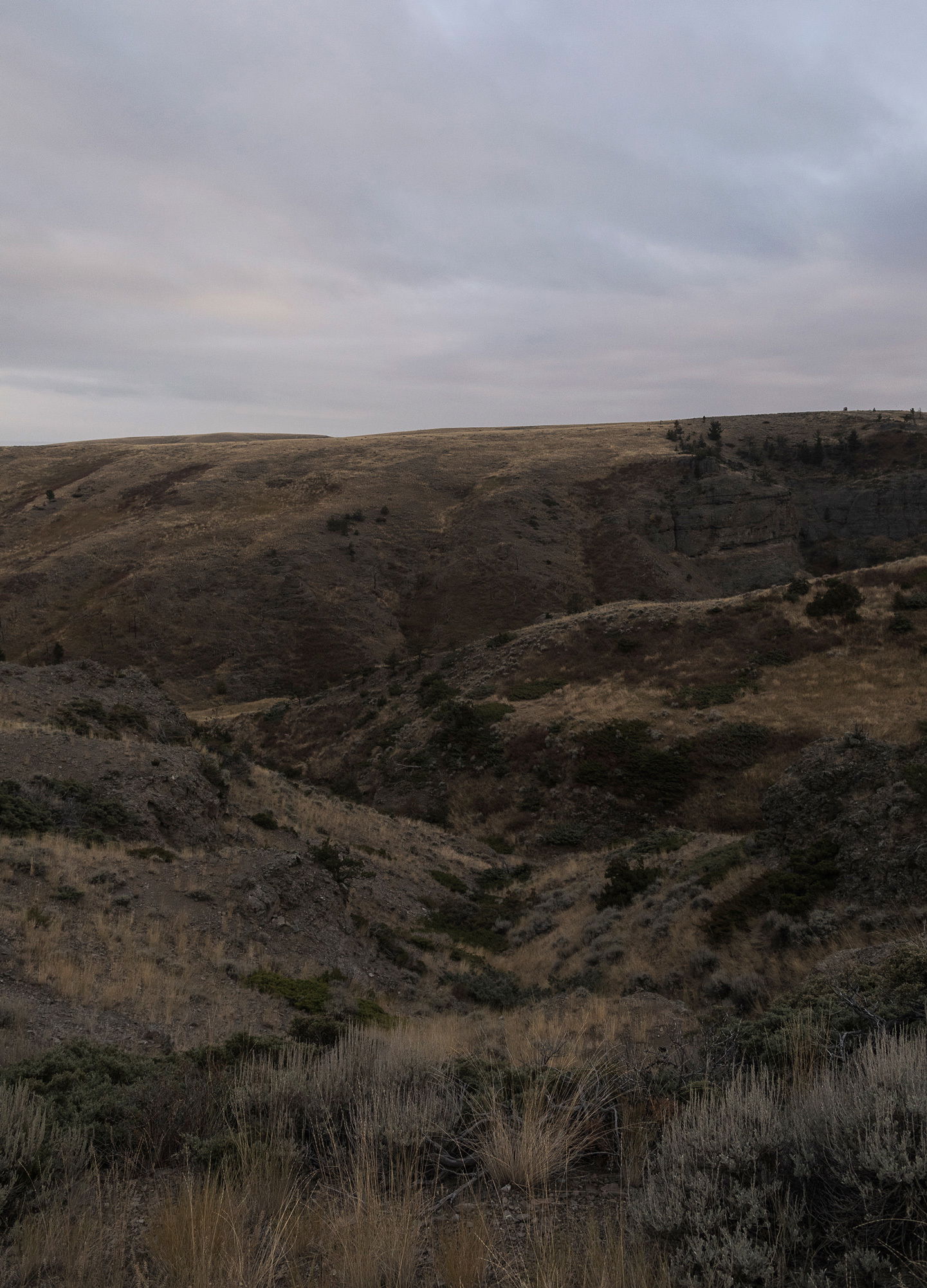 Adrian Brinkerhoff Matthew Thompson 324