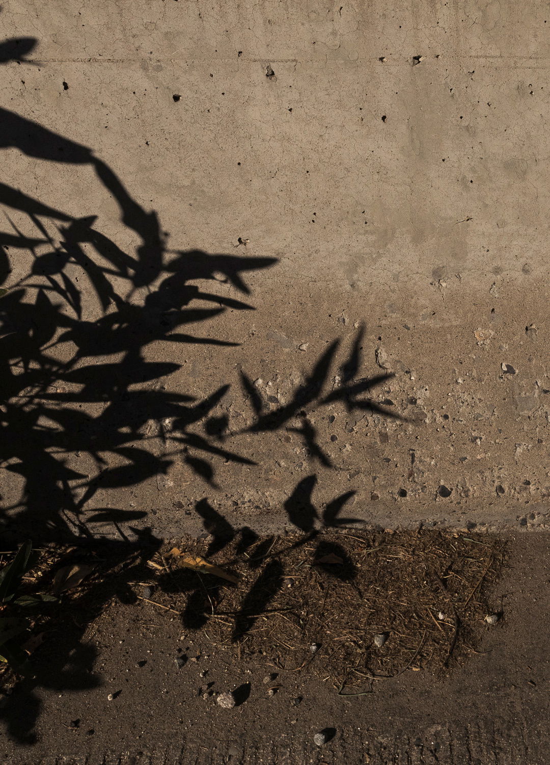 Adrian Brinkerhoff Matthew Thompson 327