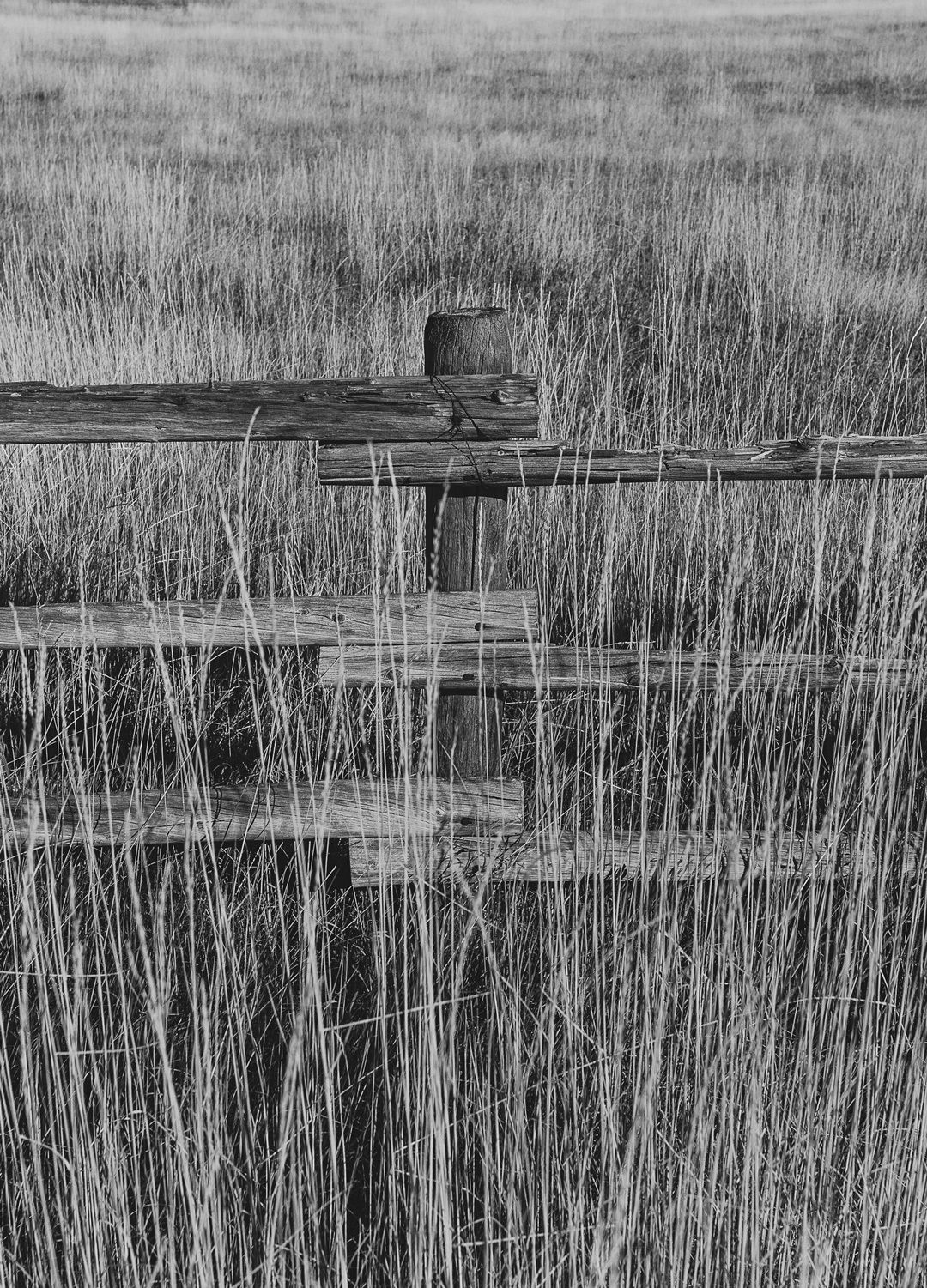 Adrian Brinkerhoff Matthew Thompson 328