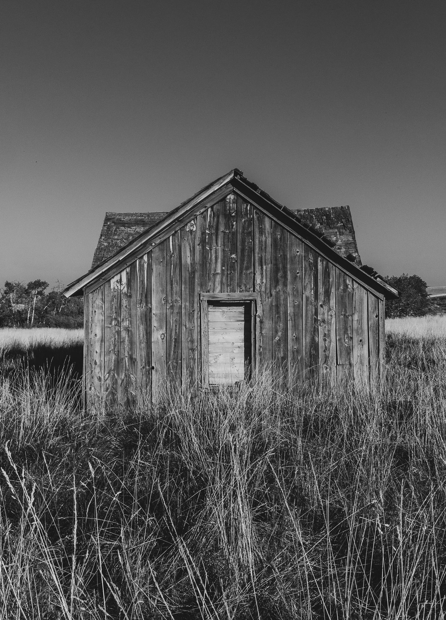 Adrian Brinkerhoff Matthew Thompson 331