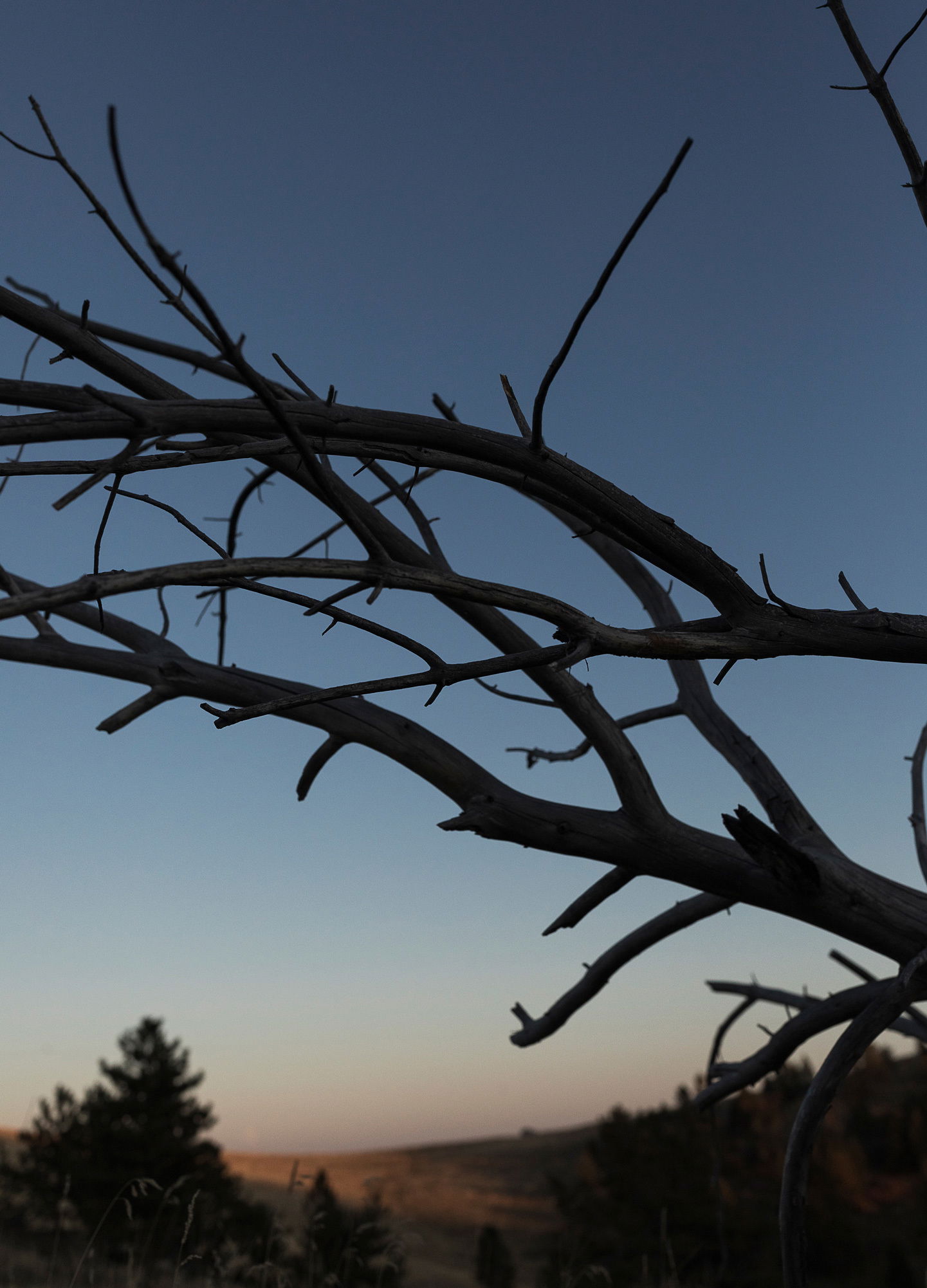 Adrian Brinkerhoff Matthew Thompson 335