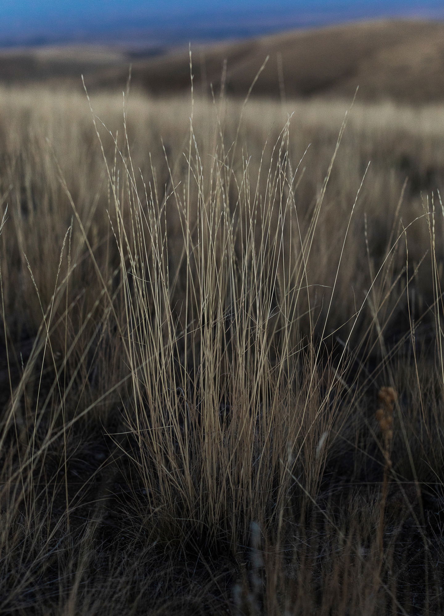 Adrian Brinkerhoff Matthew Thompson 336