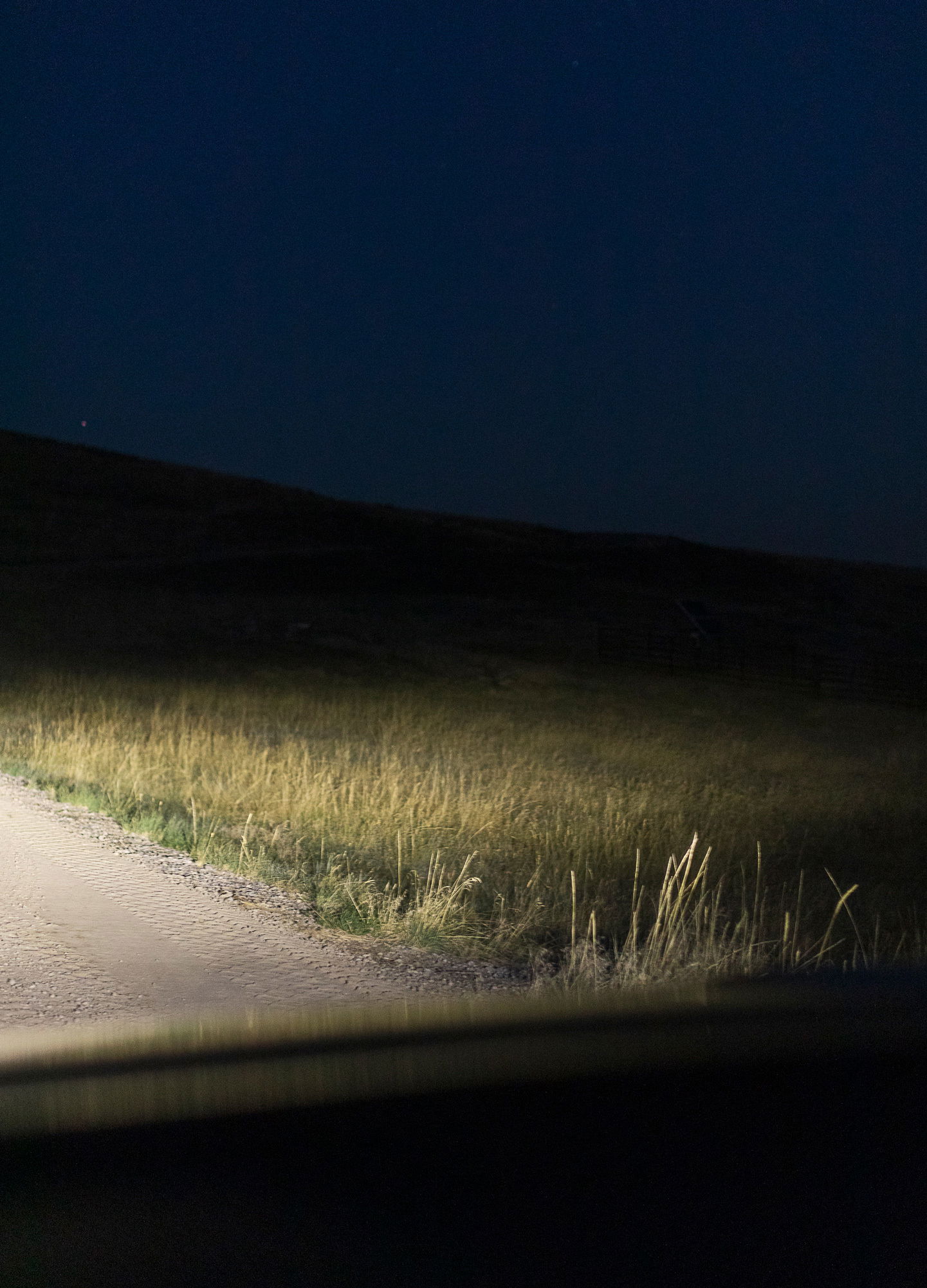 Adrian Brinkerhoff Matthew Thompson 339