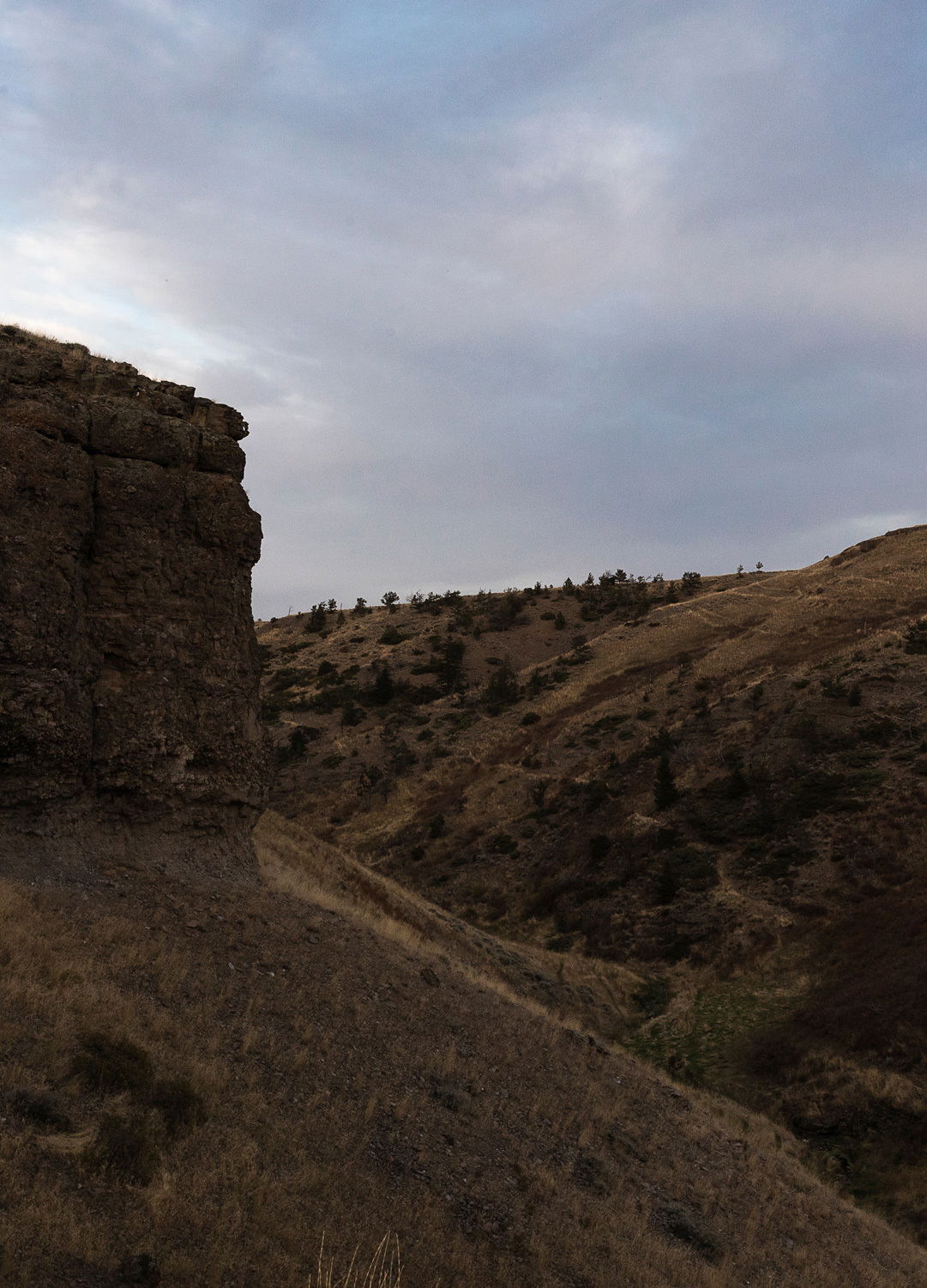 Adrian Brinkerhoff Matthew Thompson 341