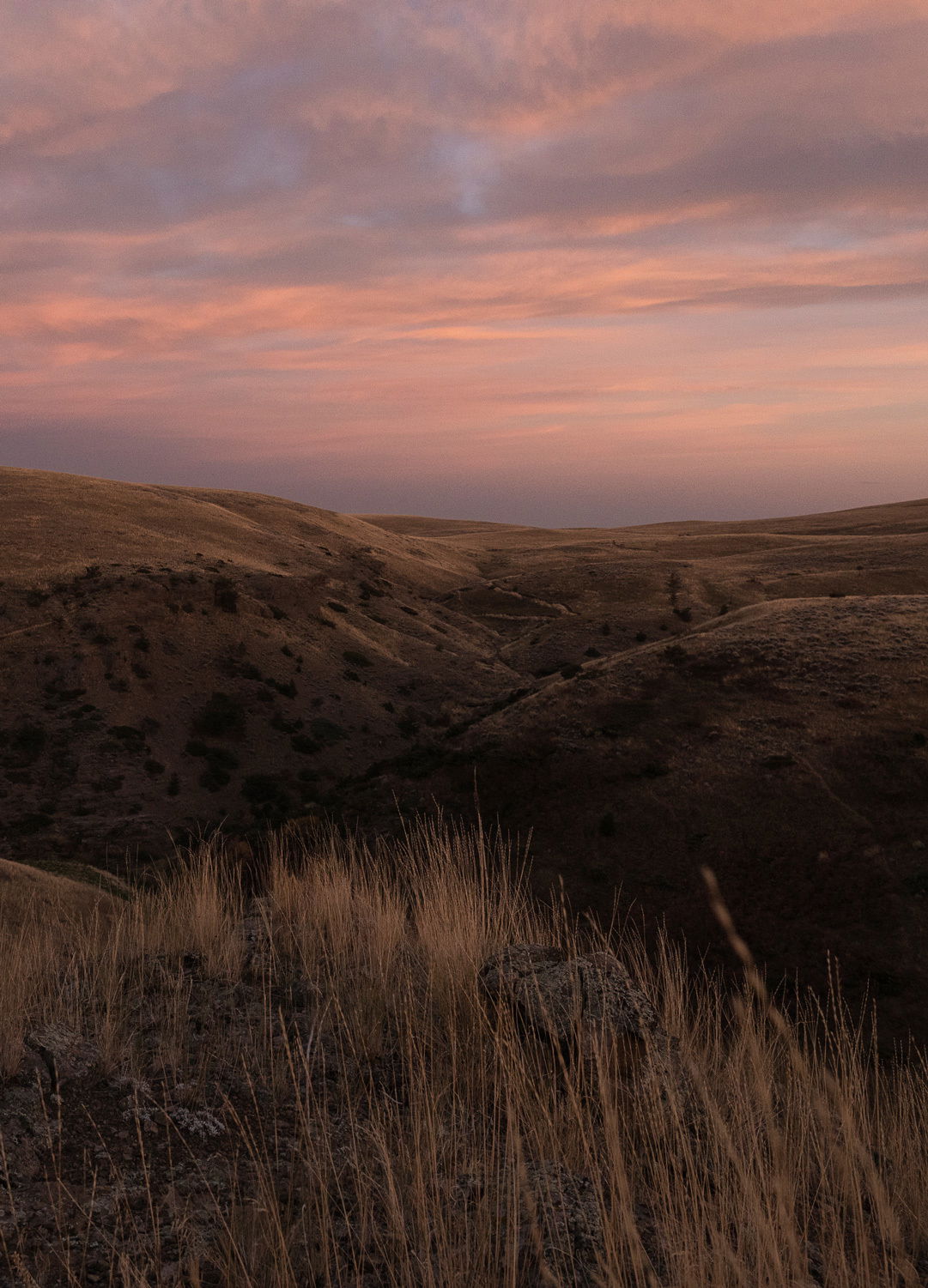 Adrian Brinkerhoff Matthew Thompson 342