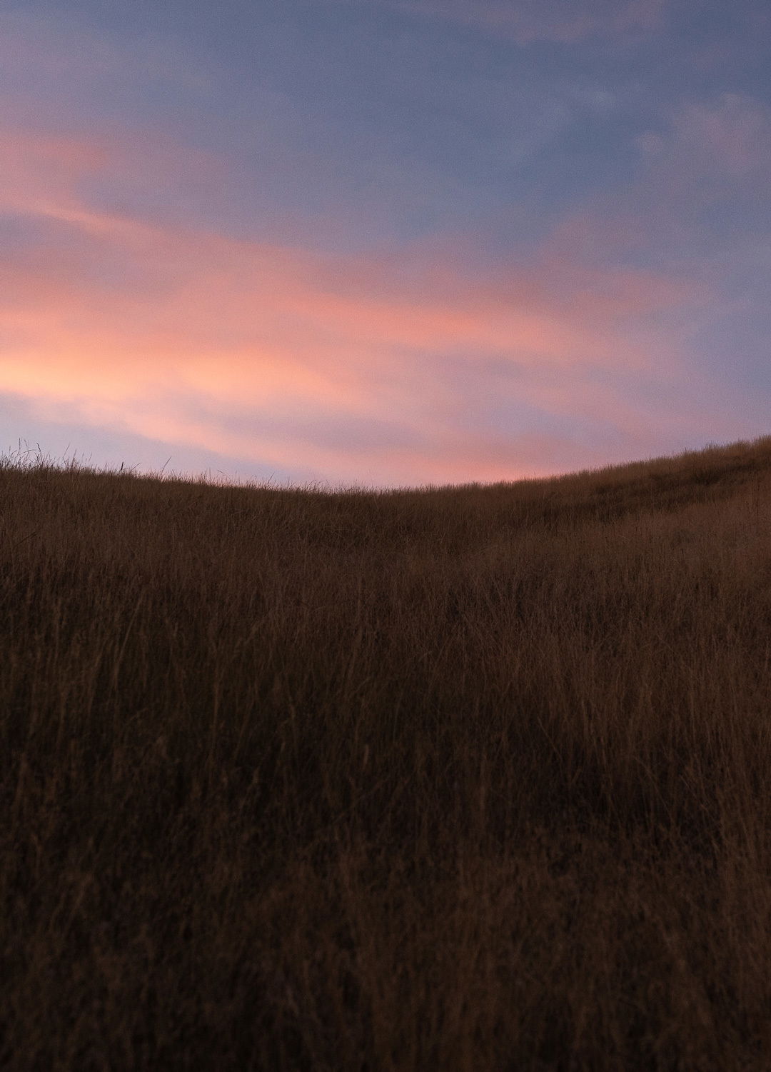 Adrian Brinkerhoff Matthew Thompson 343