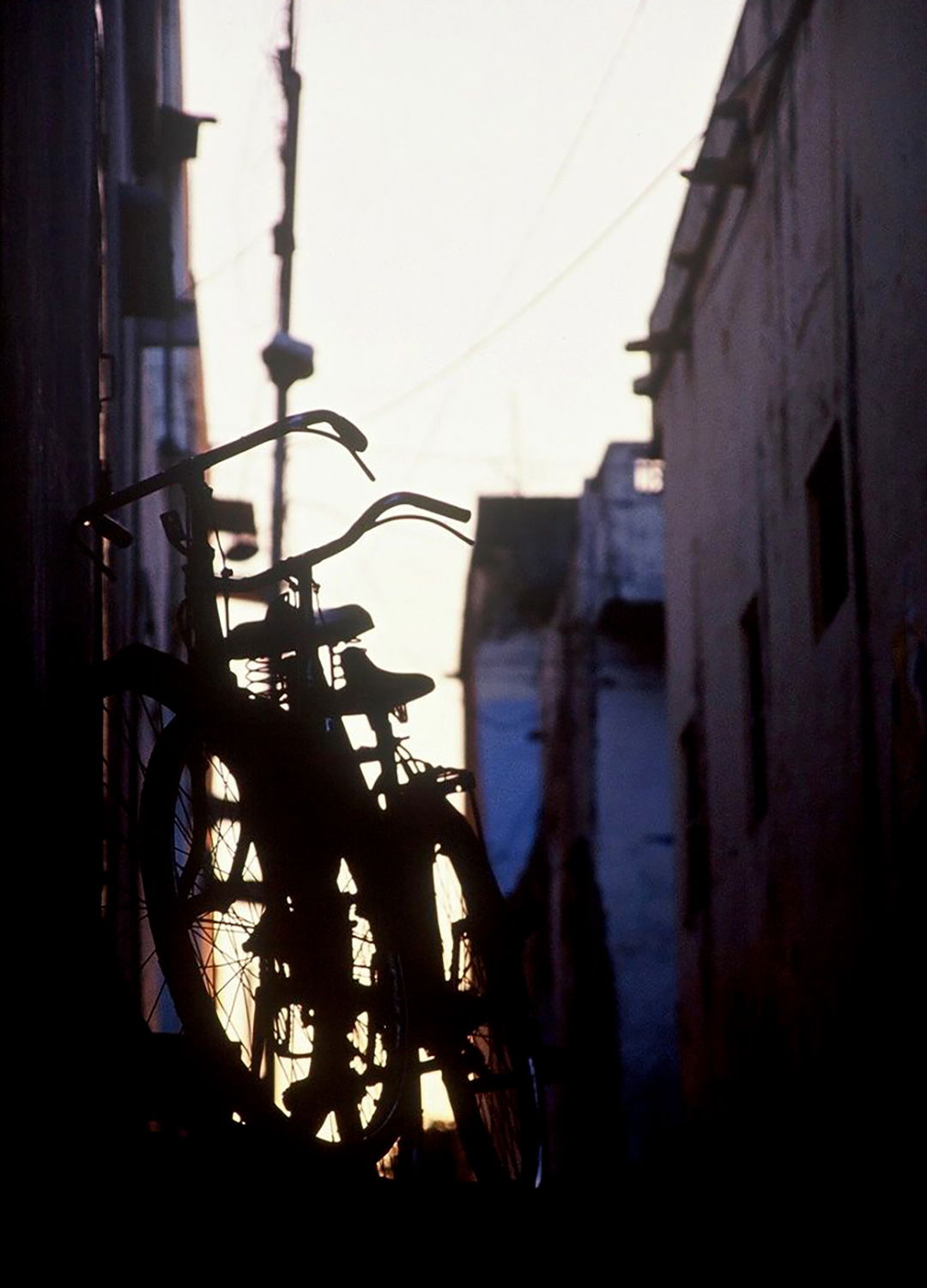 Adrian Brinkerhoff Matthew Thompson 363