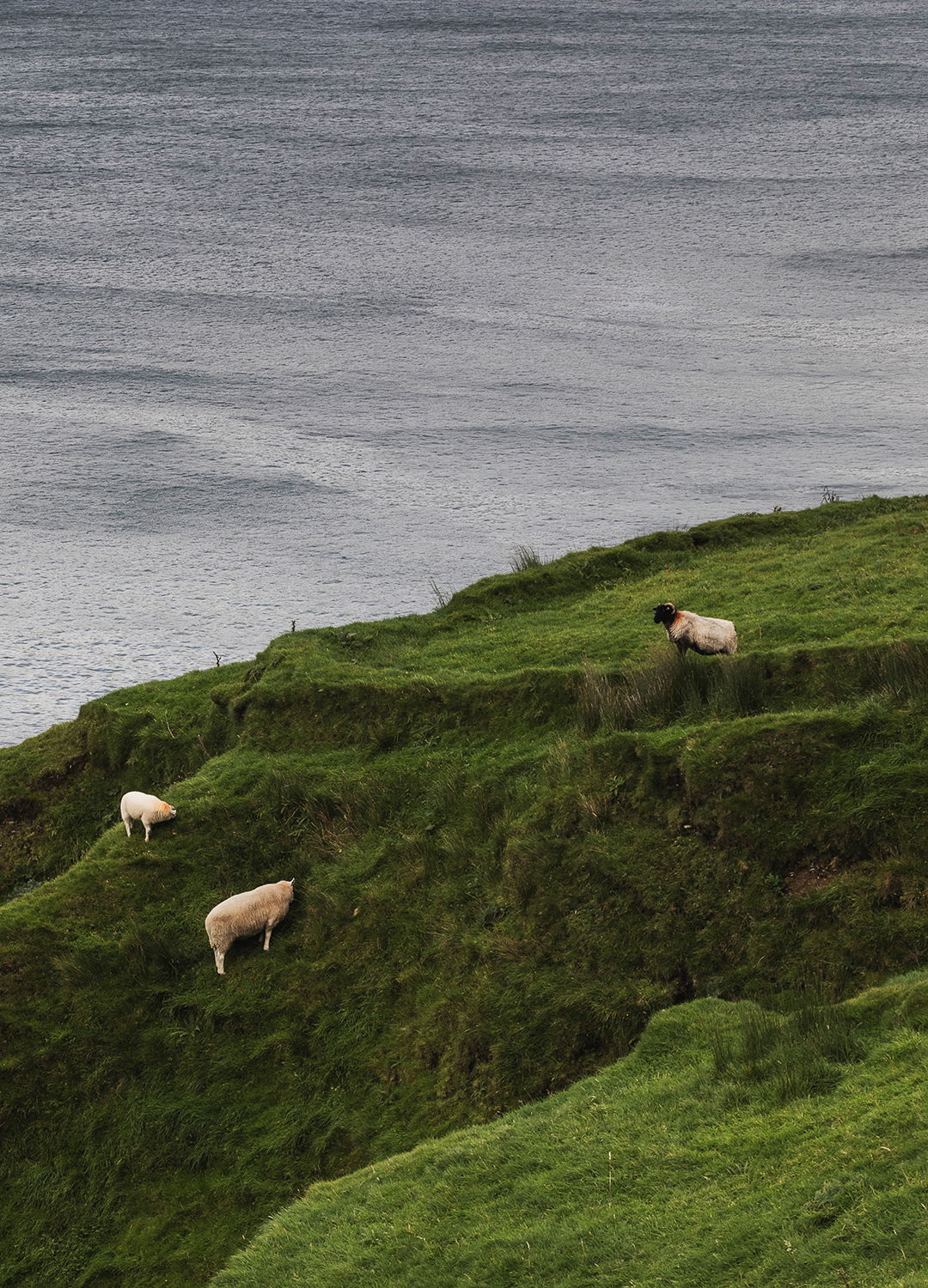 Adrian Brinkerhoff Matthew Thompson 368