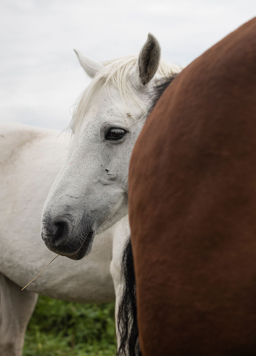 Adrian Brinkerhoff Matthew Thompson 369