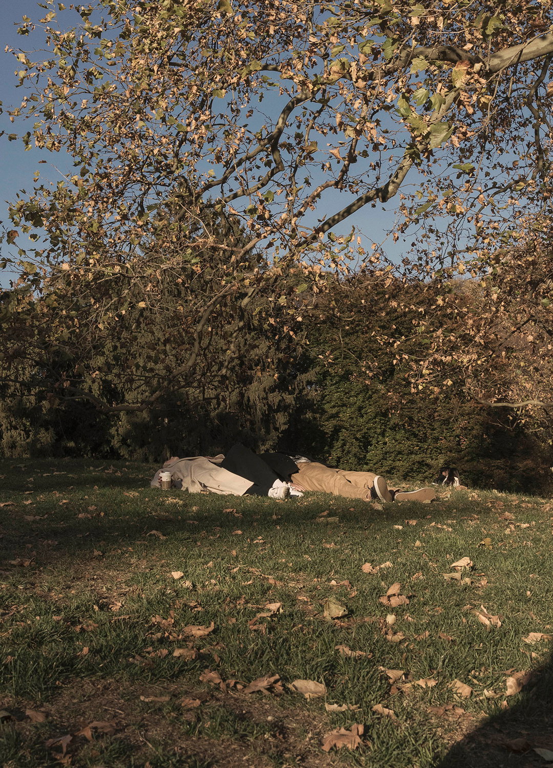 Adrian Brinkerhoff Matthew Thompson 388