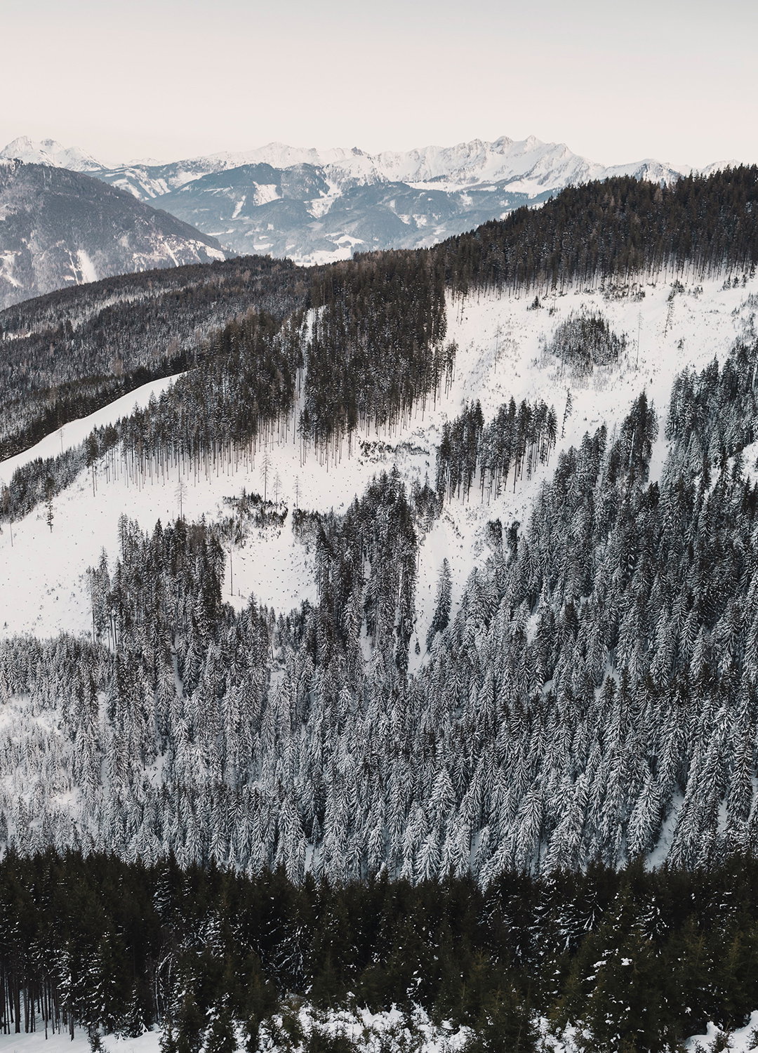 Adrian Brinkerhoff Matthew Thompson 408