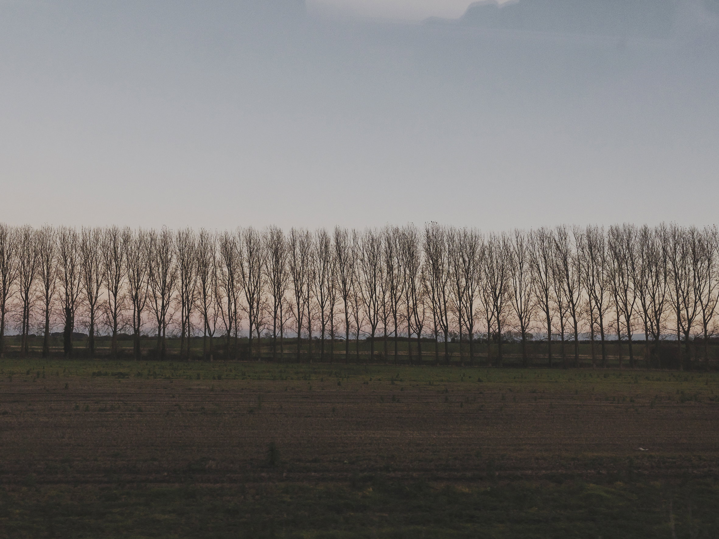 Train Landscapes 8812
