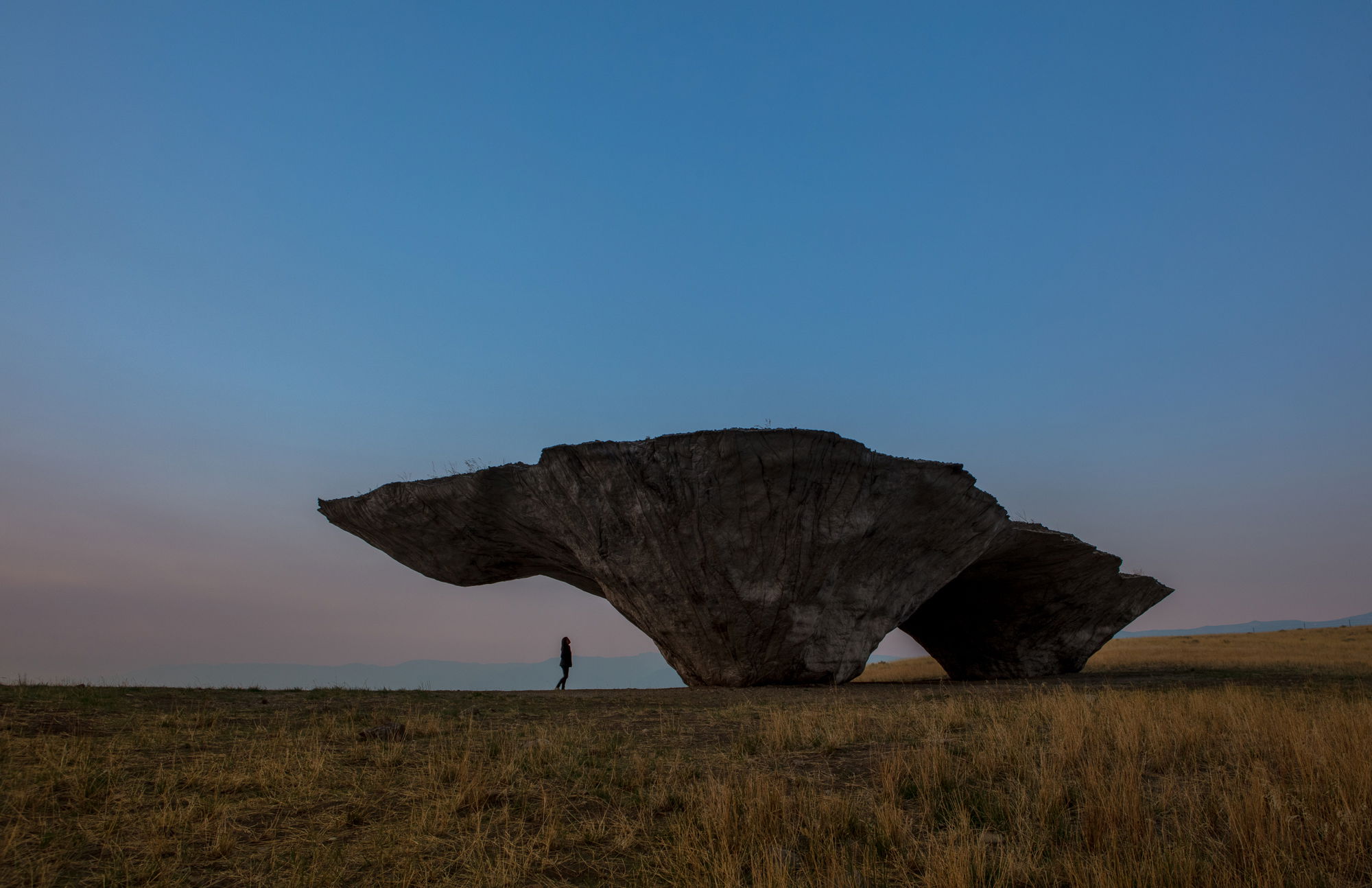 The Domo James Florio Photo