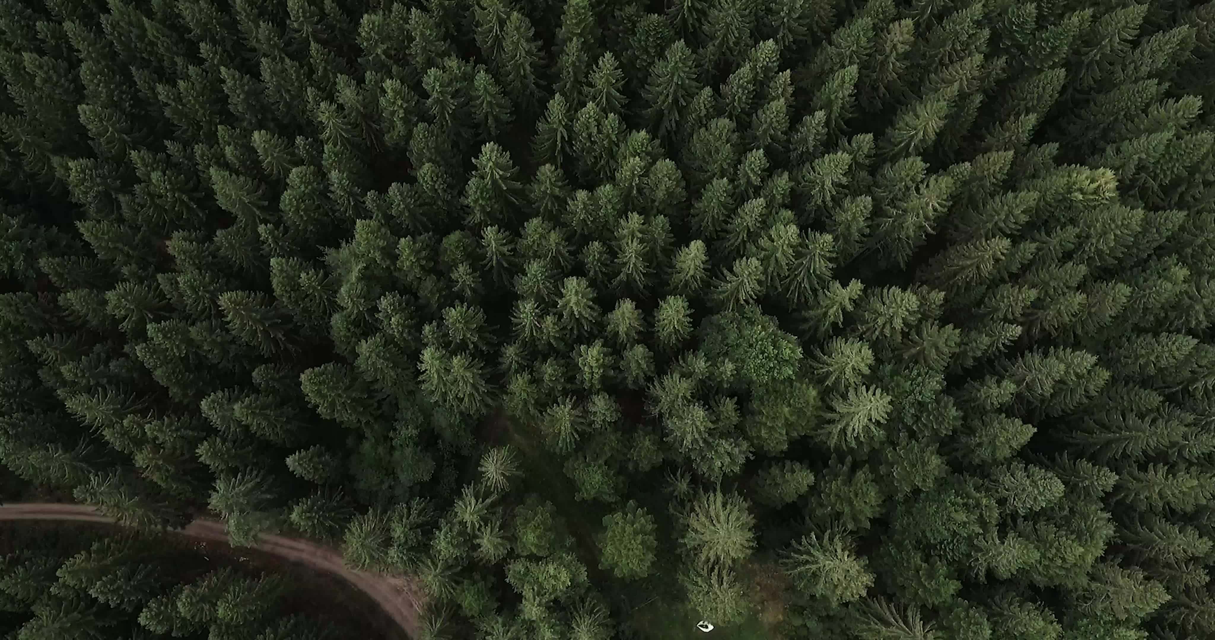 Coverr wood 1568650087945