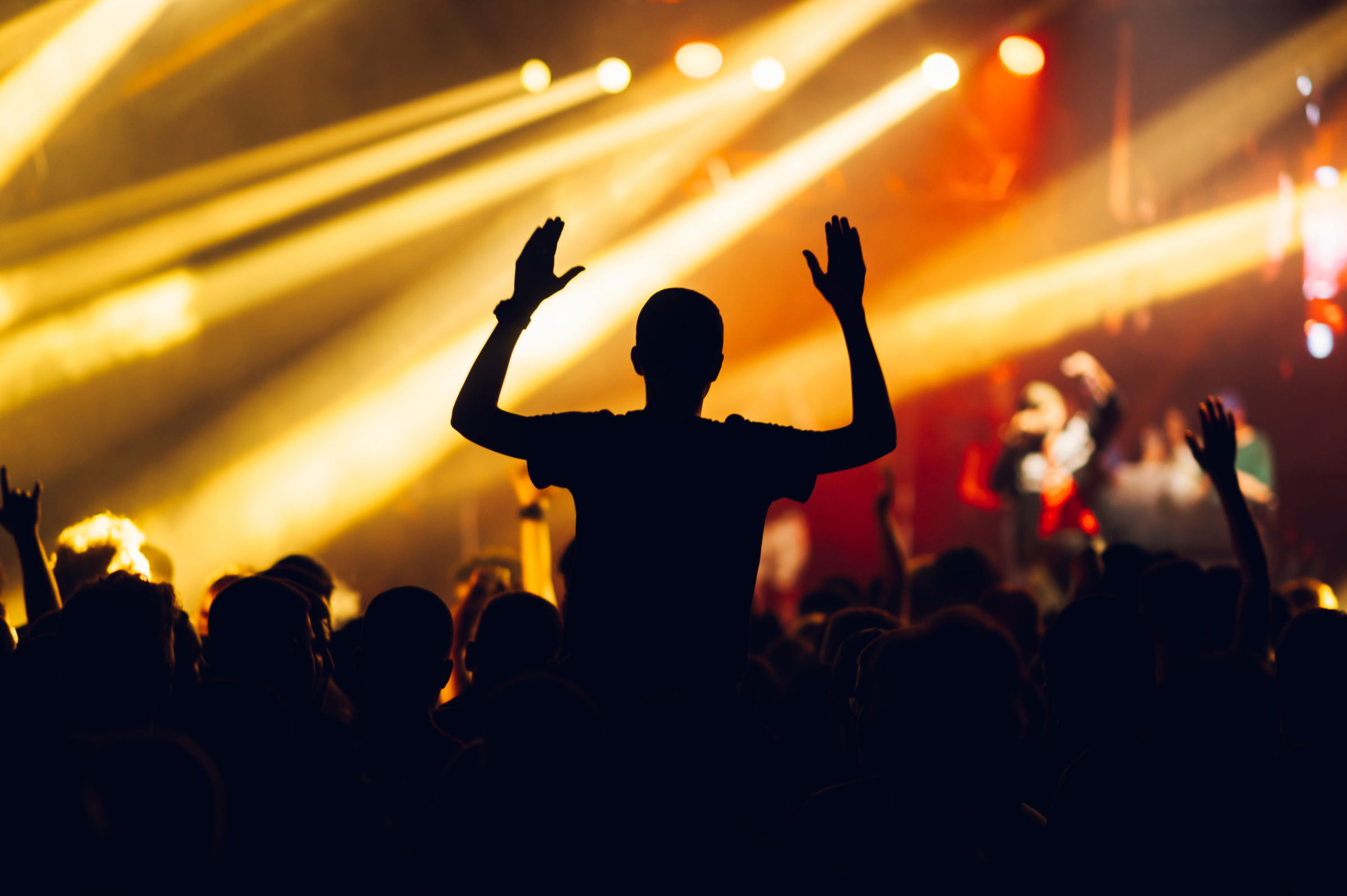 Silhouette of a man on above crowd rising his hand 2024 01 08 21 24 06 utc