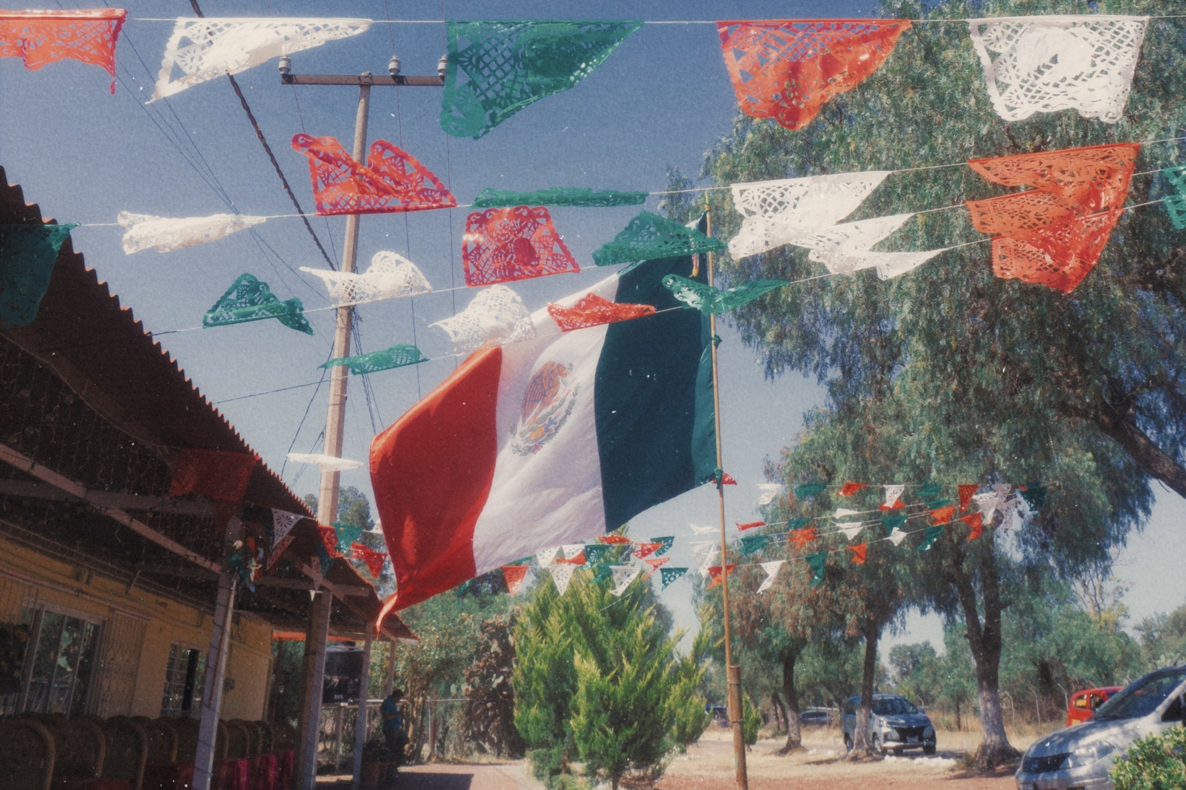 IMG 3249