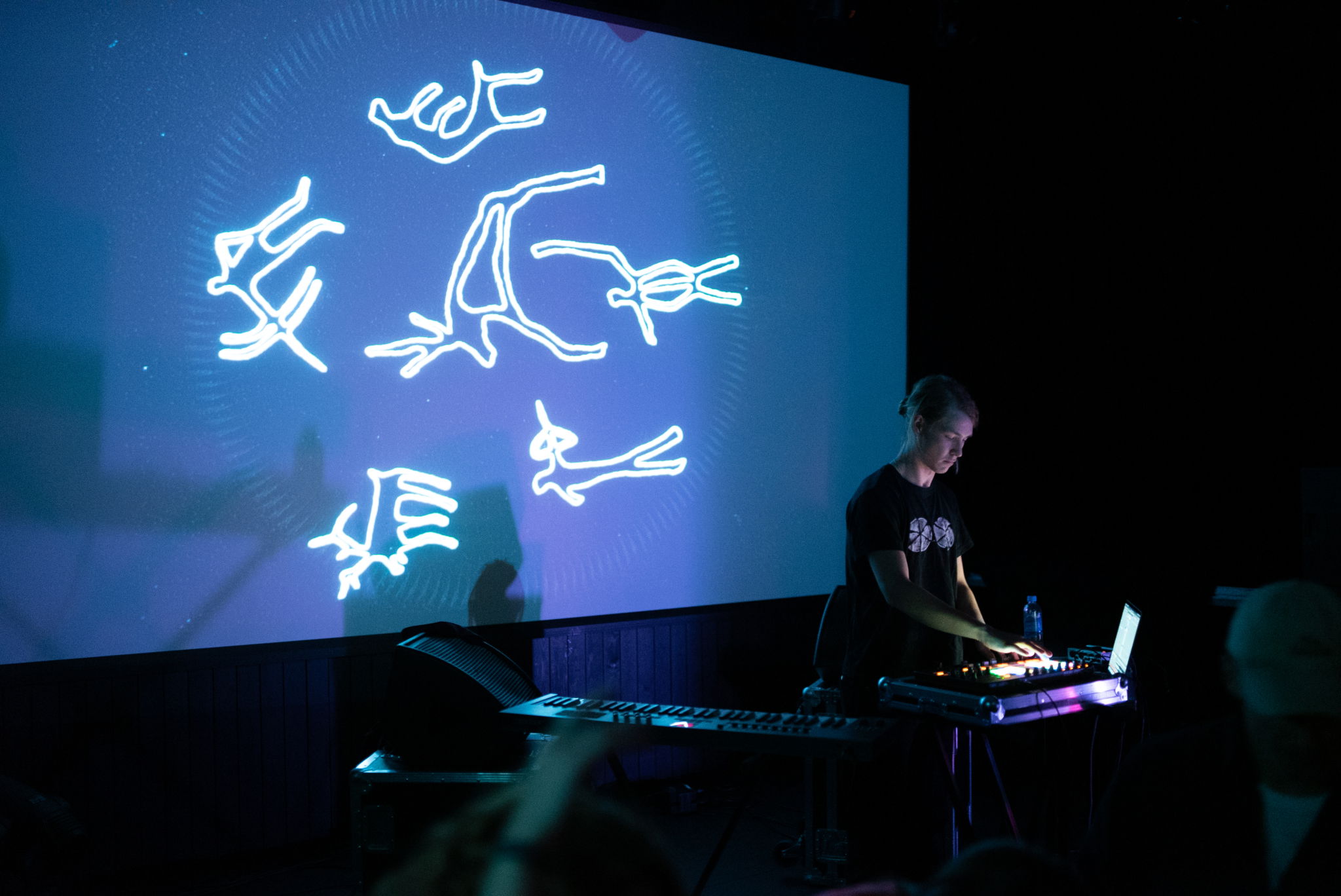 Niilas Minetta Westerlund