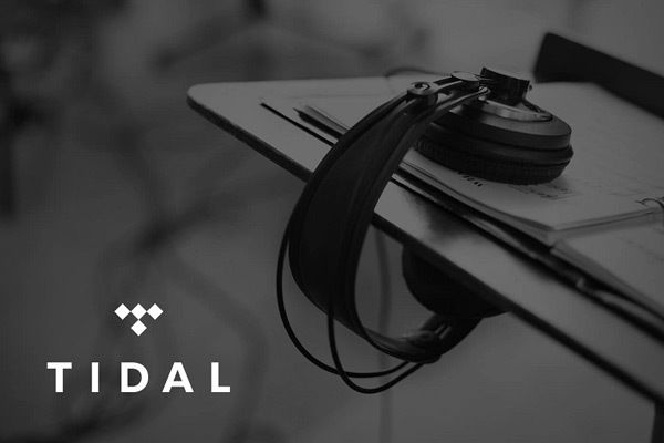Tidallogo