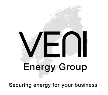 Veni energy group globe small 002