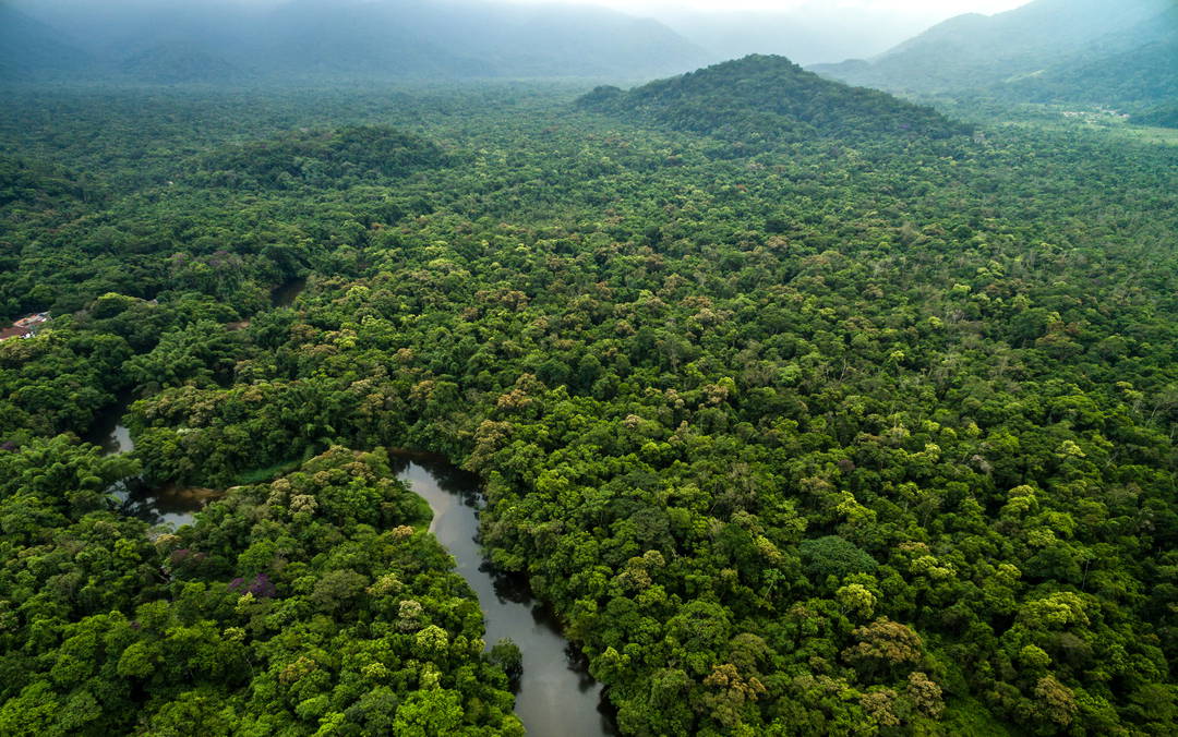 Saving The Rainforest Where And Why Rainforest Foundation Norway Saving The Rainforest Where And Why Rainforest Foundation Norway