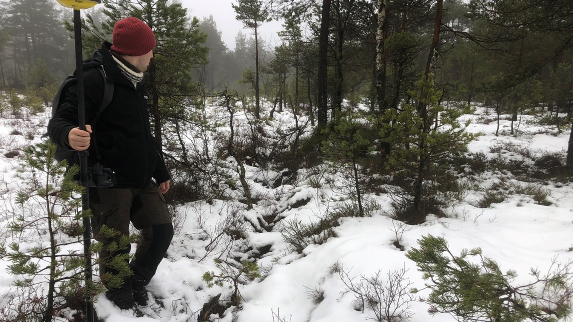 Rewetting drained peatland to improve biodiversity – Scalgo