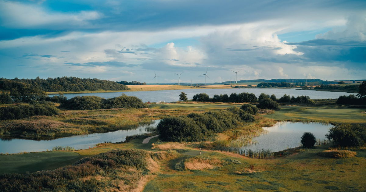 Rewilding and restoring Danish landscapes – Scalgo