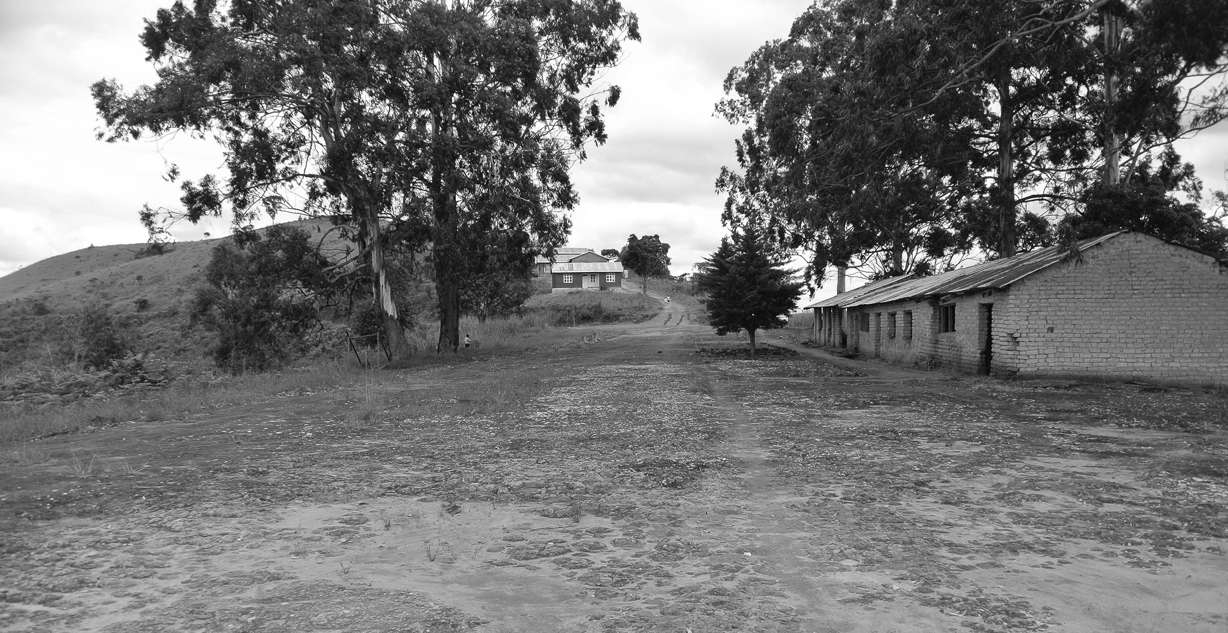 Skanska tuva tanzania DSC 2923 bw
