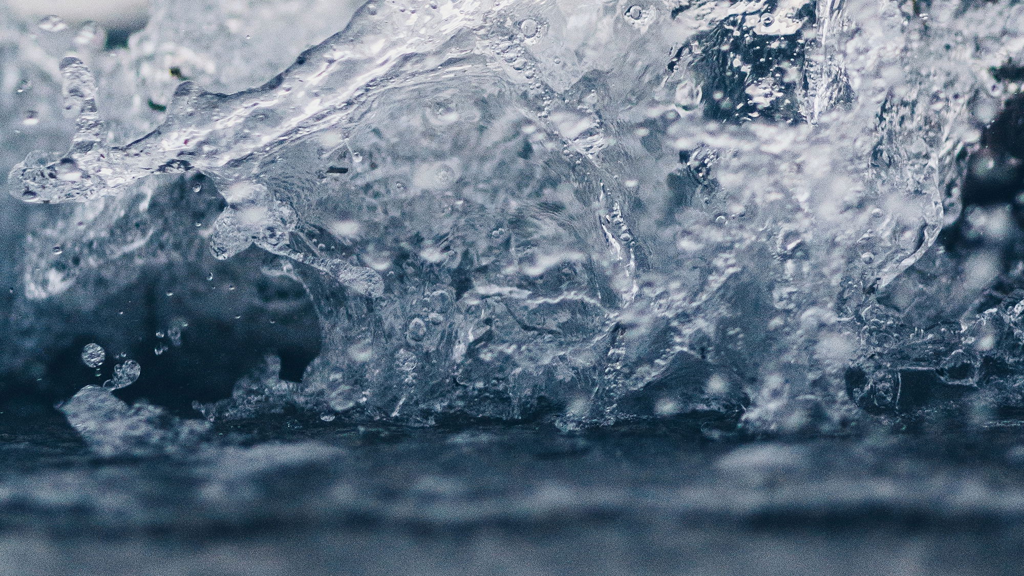 Samara doole pea Tni Zs U Qs unsplash